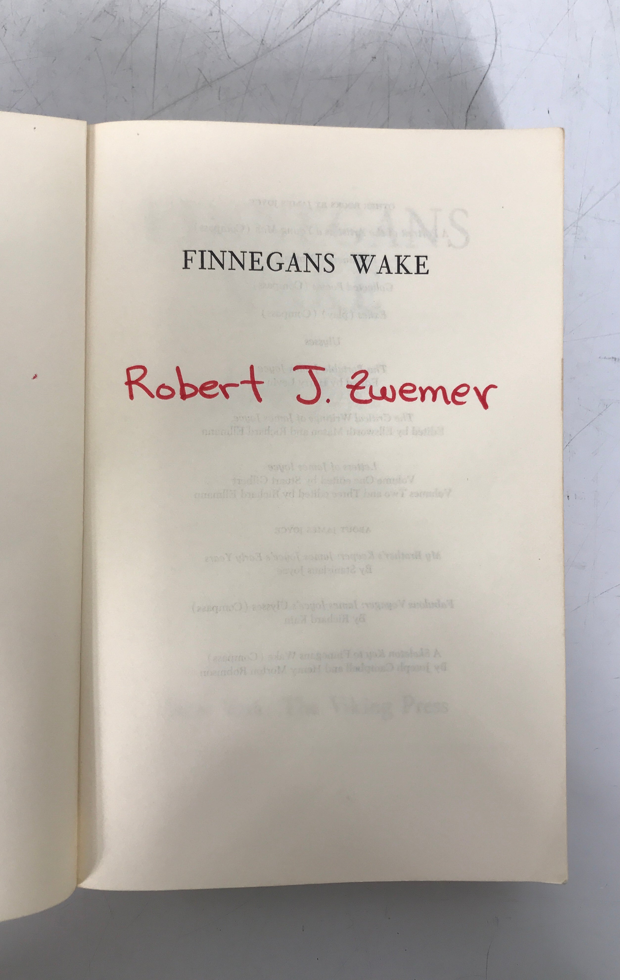 Lot of 2: Finnegans Wake by Joyce and A Skeleton Key to Finnegans Wake SC