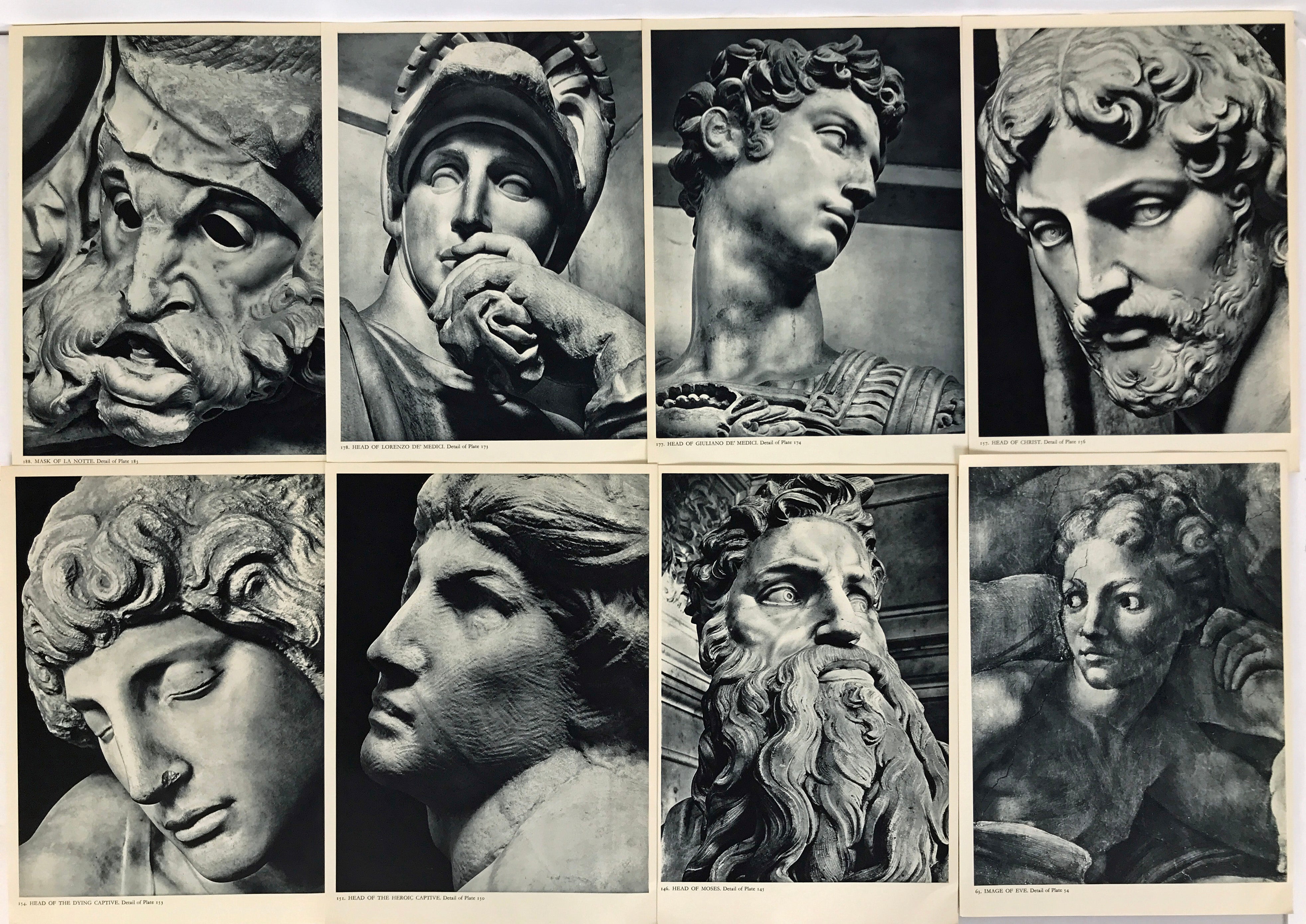 Assorted Black and White Close Up Prints by Michelangelo