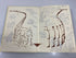 1957 'Oracle' Central High School Yearbook Lansing Michigan HC