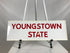 White Framed "Youngstown State" Picture