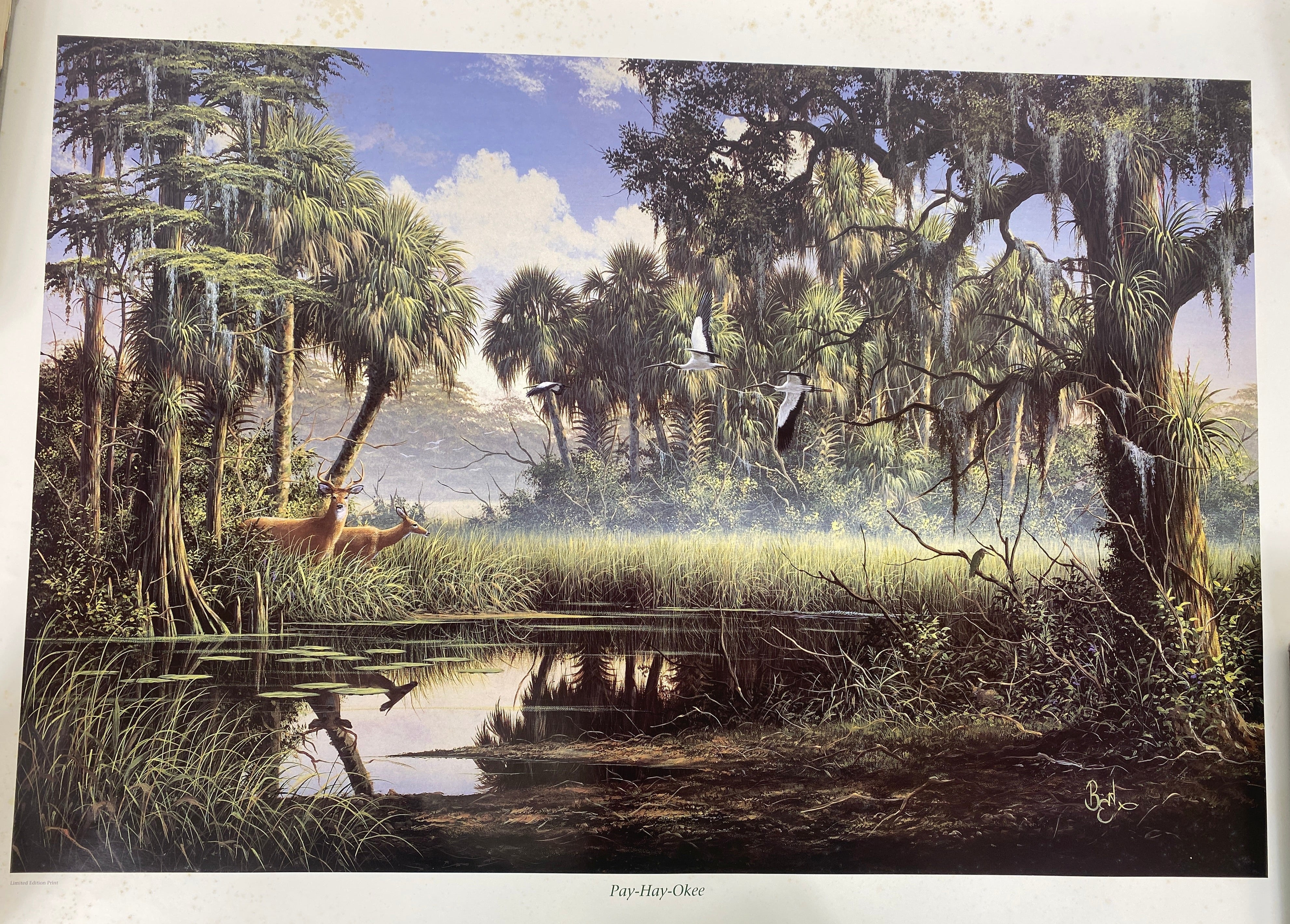 Ben W. Essenburg print Pay-Hay-Okee Grassy Waters limited