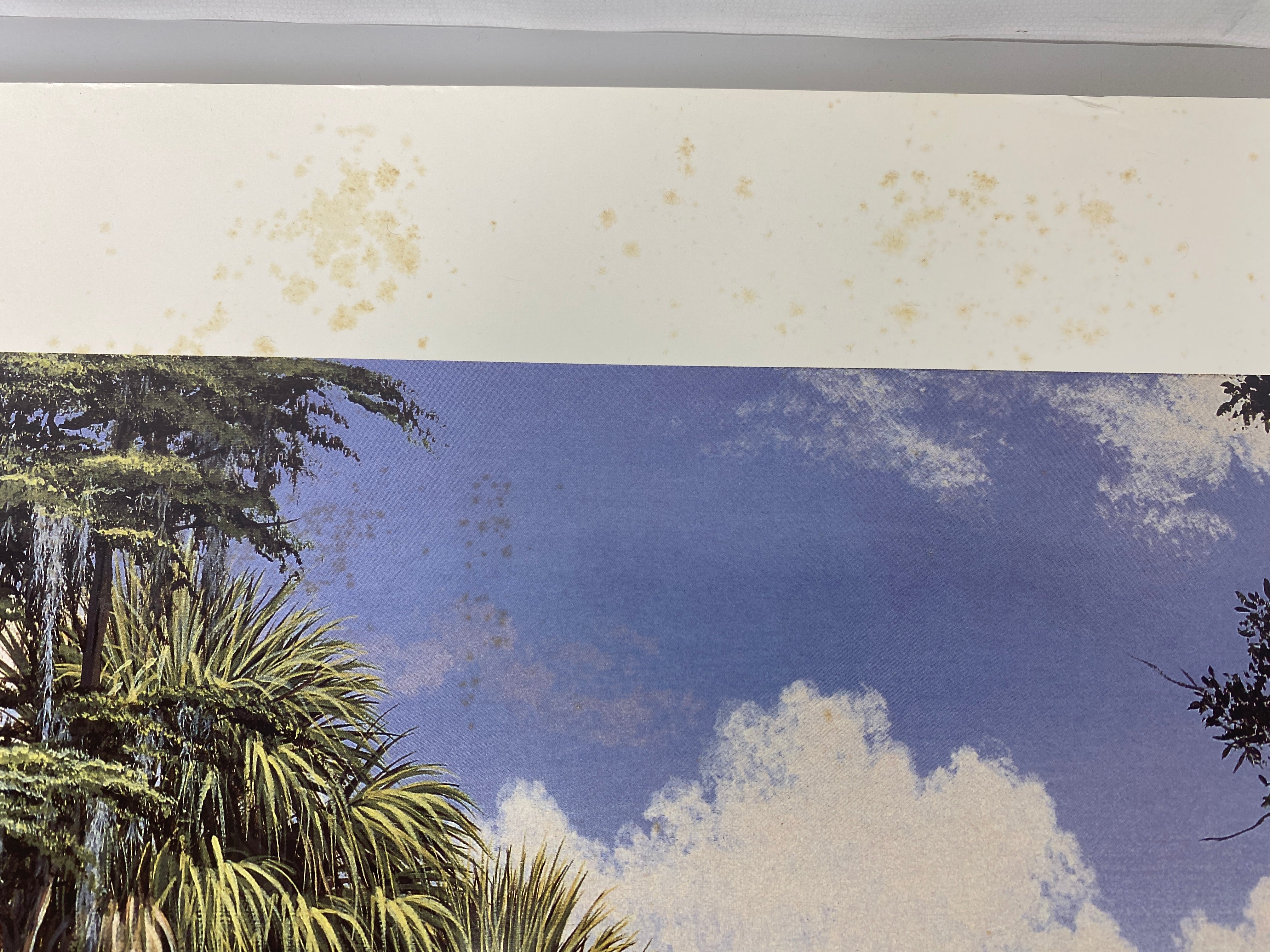 Ben W. Essenburg print Pay-Hay-Okee Grassy Waters limited