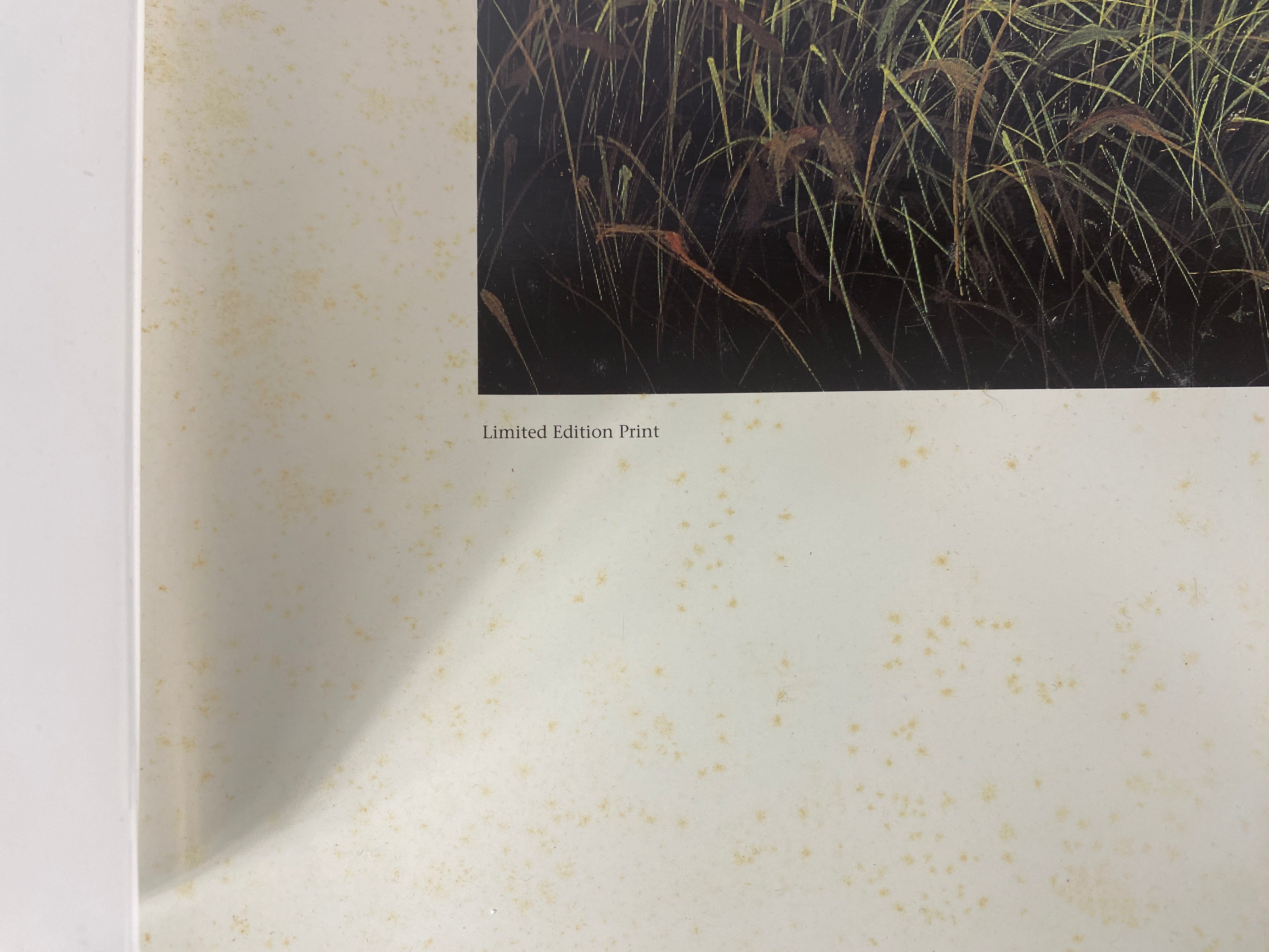 Ben W. Essenburg print Pay-Hay-Okee Grassy Waters limited
