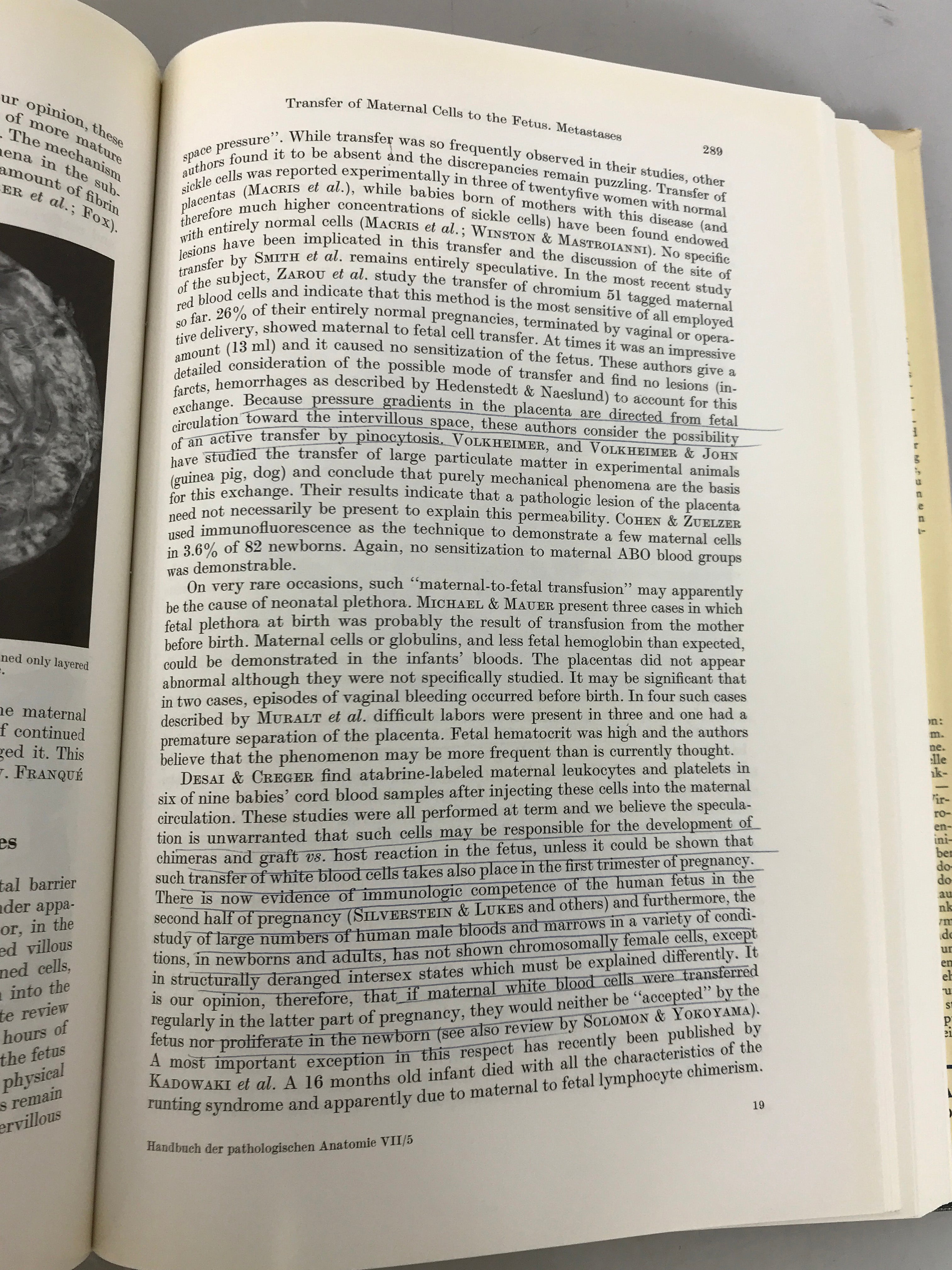 Handbuch Der Speziellen Pathologischen/The Pathology of the Human Placenta HC DJ
