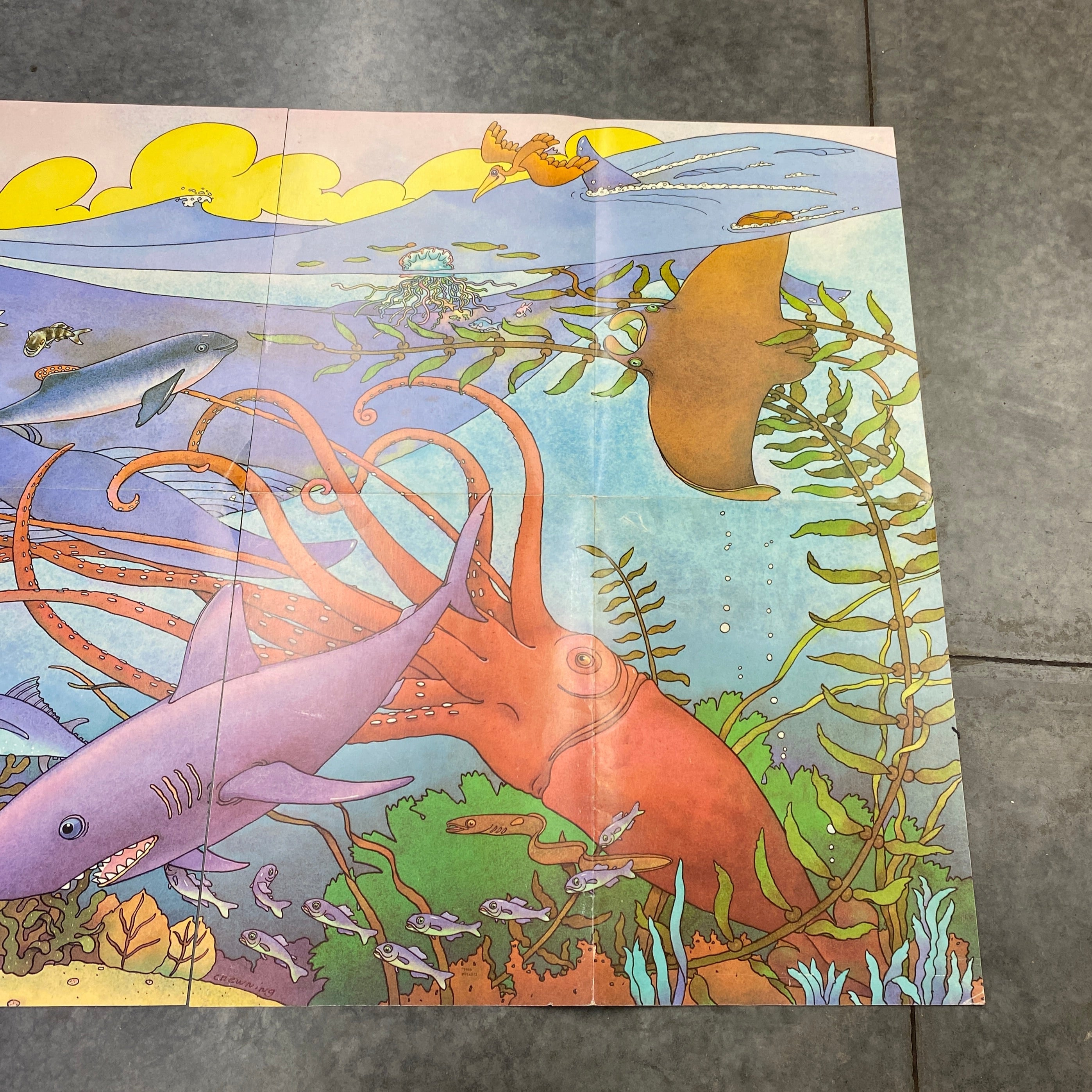 Ocean Life 3 Panel Poster