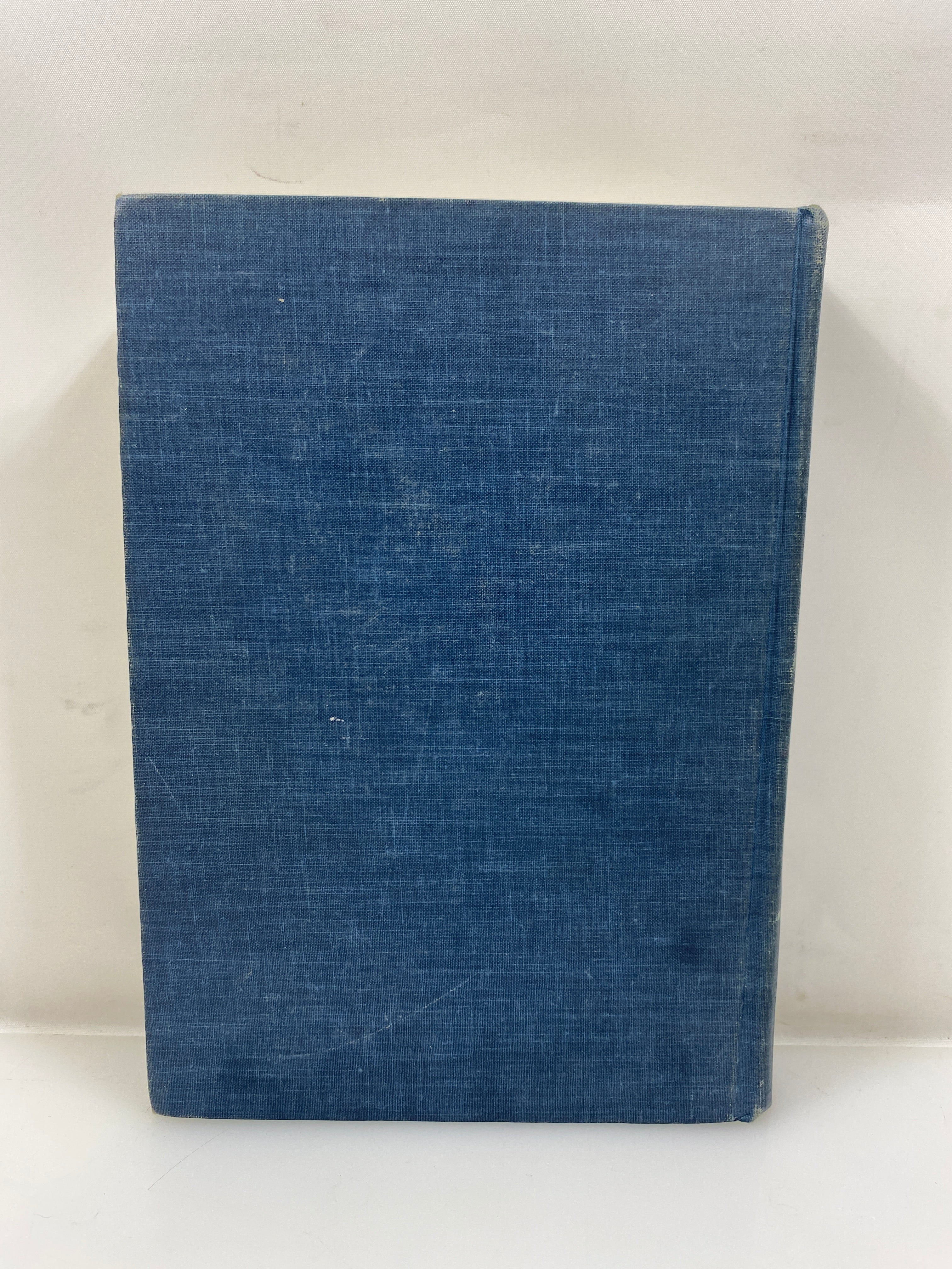 A History of Western Art by John Ives Sewall 1963 HC