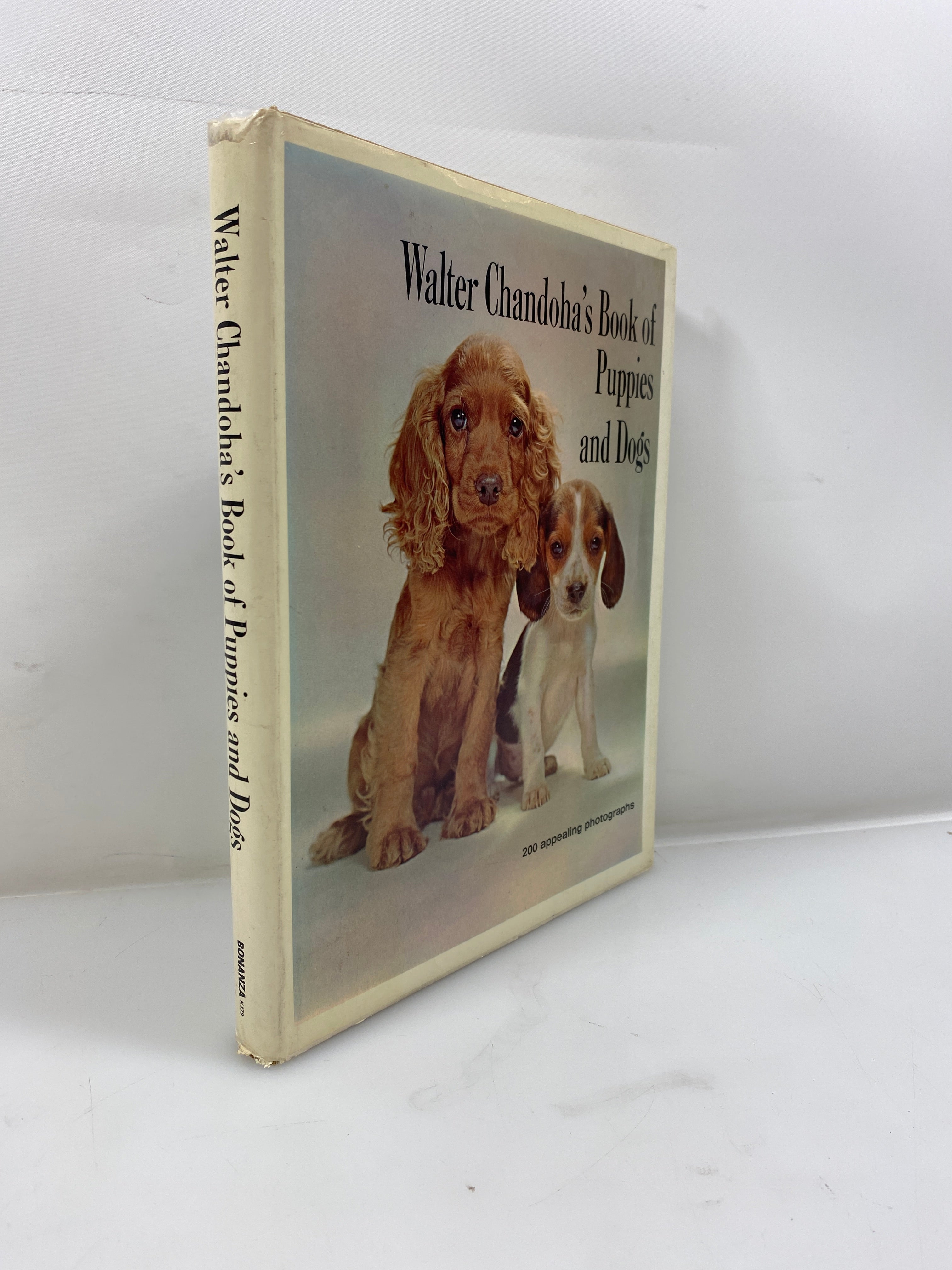 Walter Chandoha's Book of Puppies and Dogs Bonanza Books 1969 HCDJ