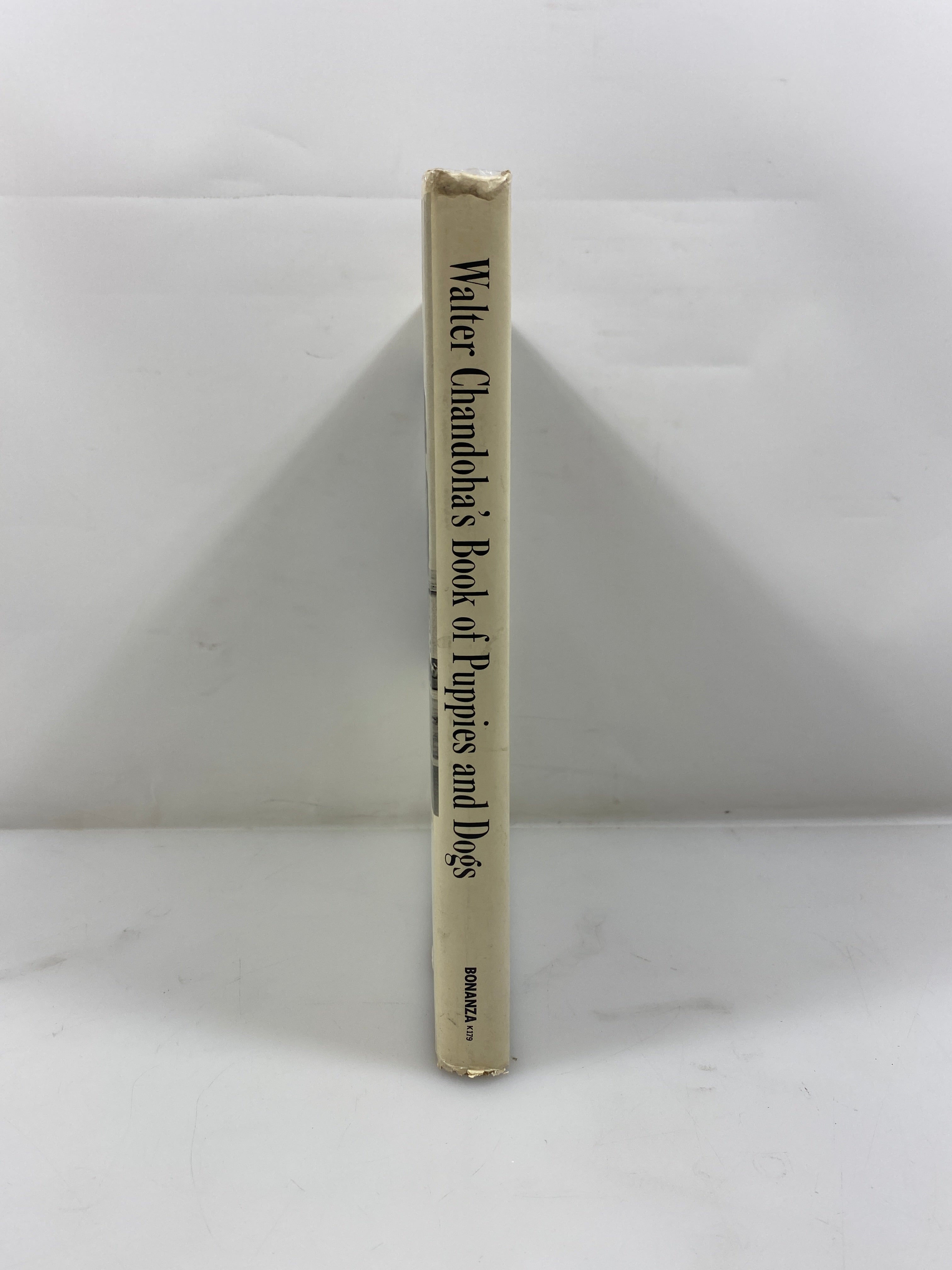Walter Chandoha's Book of Puppies and Dogs Bonanza Books 1969 HCDJ