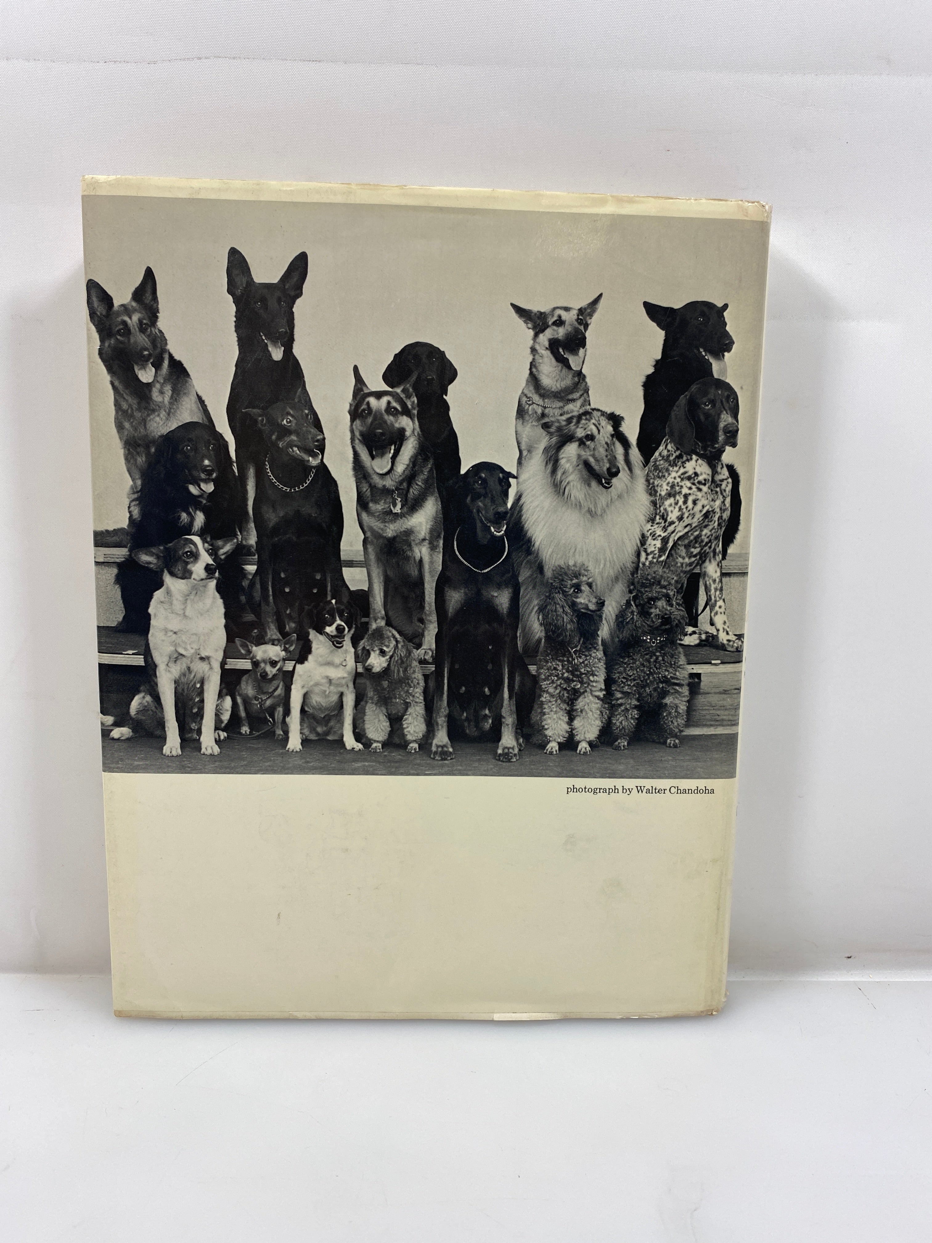 Walter Chandoha's Book of Puppies and Dogs Bonanza Books 1969 HCDJ