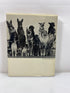 Walter Chandoha's Book of Puppies and Dogs Bonanza Books 1969 HCDJ