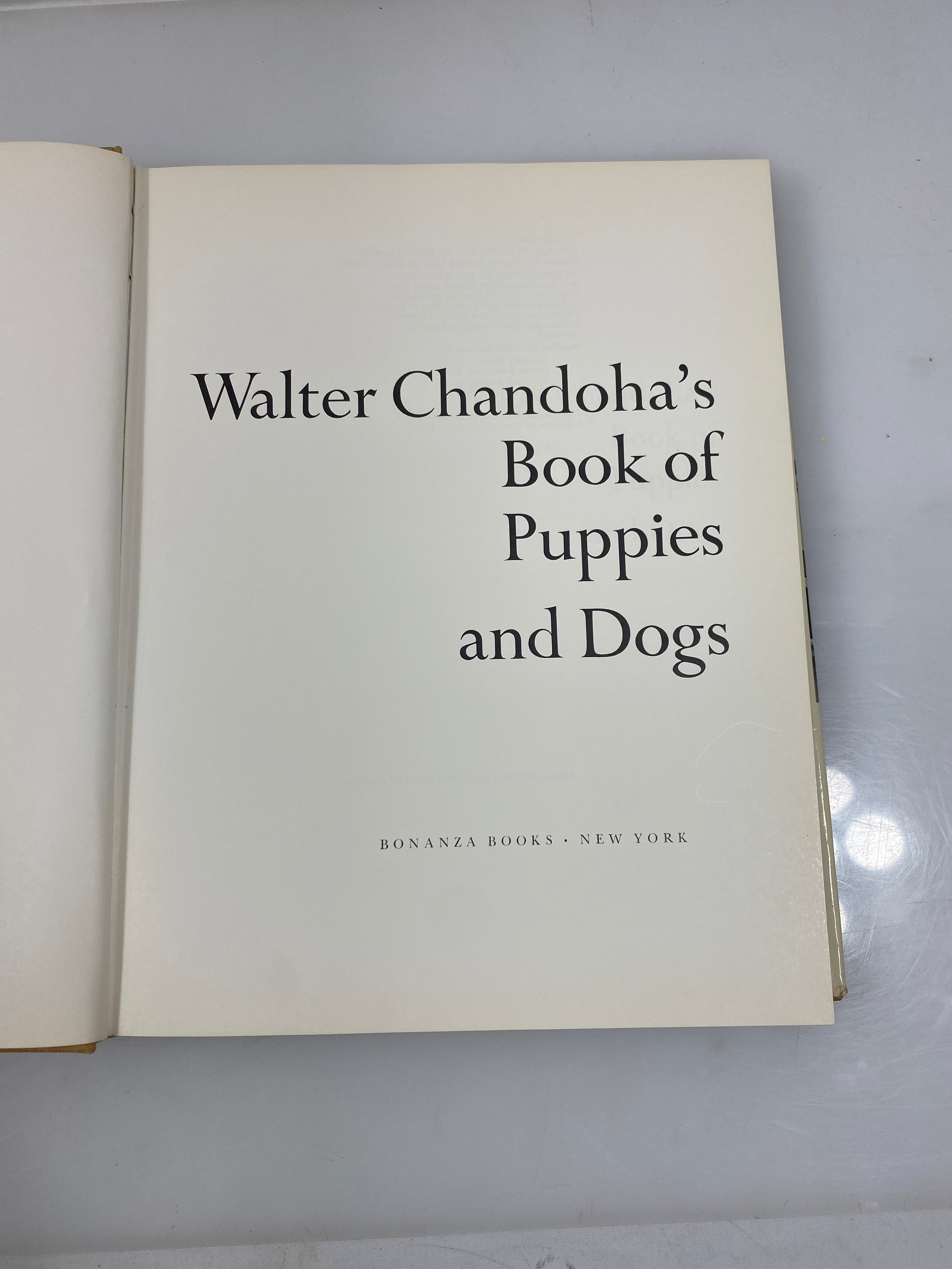 Walter Chandoha's Book of Puppies and Dogs Bonanza Books 1969 HCDJ