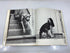 Walter Chandoha's Book of Puppies and Dogs Bonanza Books 1969 HCDJ