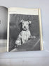 Walter Chandoha's Book of Puppies and Dogs Bonanza Books 1969 HCDJ