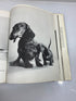 Walter Chandoha's Book of Puppies and Dogs Bonanza Books 1969 HCDJ