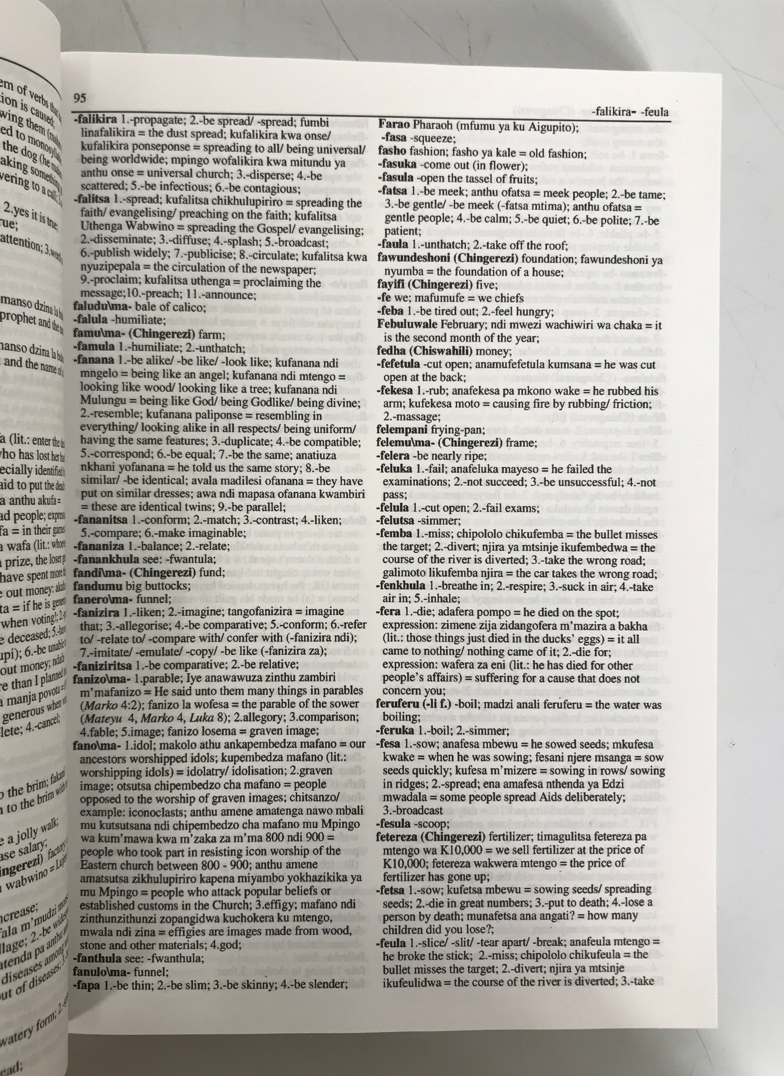 Chichewa/Chinyanja English Dictionary Steven Paas 2009 1st