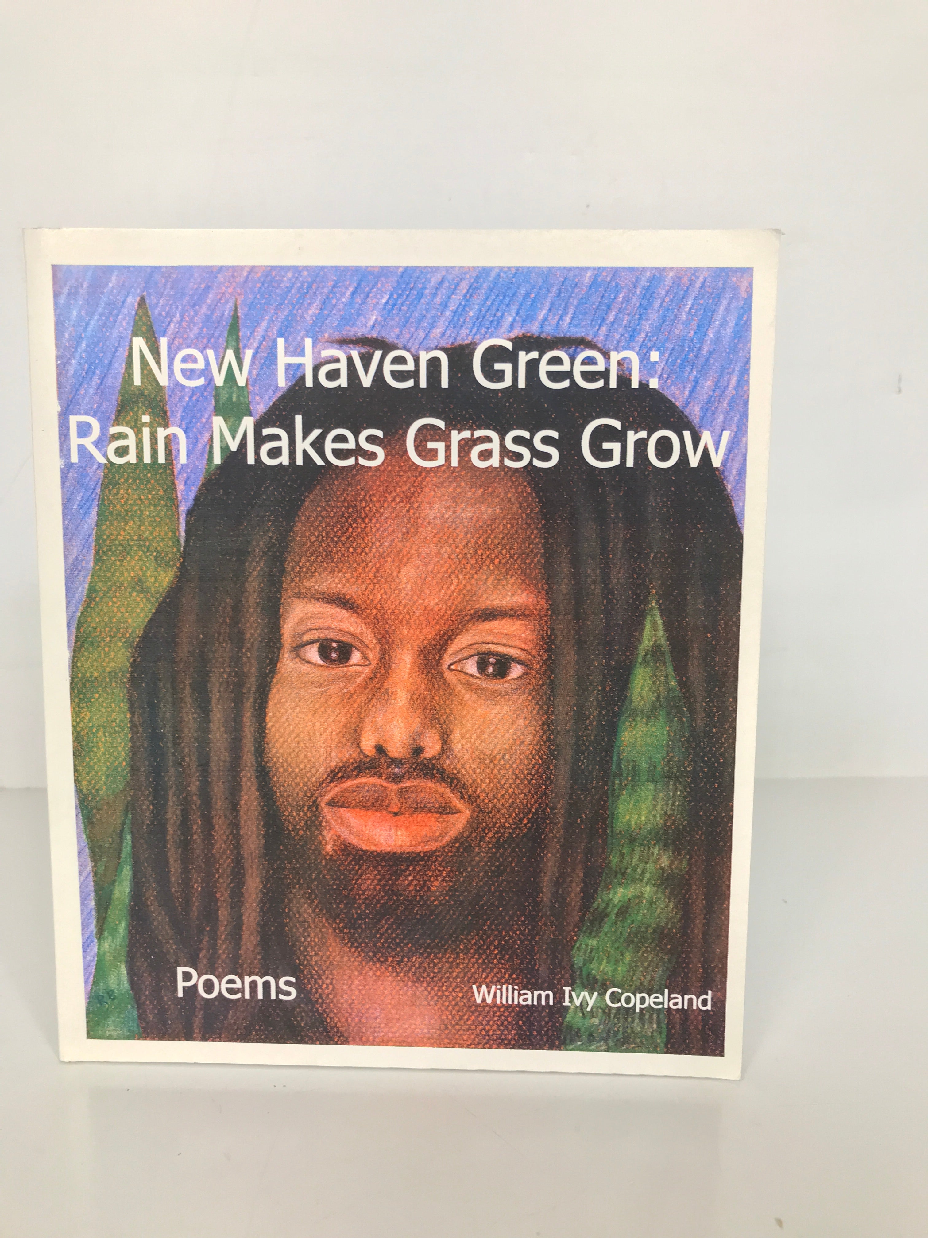 New Haven Green: Rain Makes the Grass Grow by William Copeland Signed 2004 SC