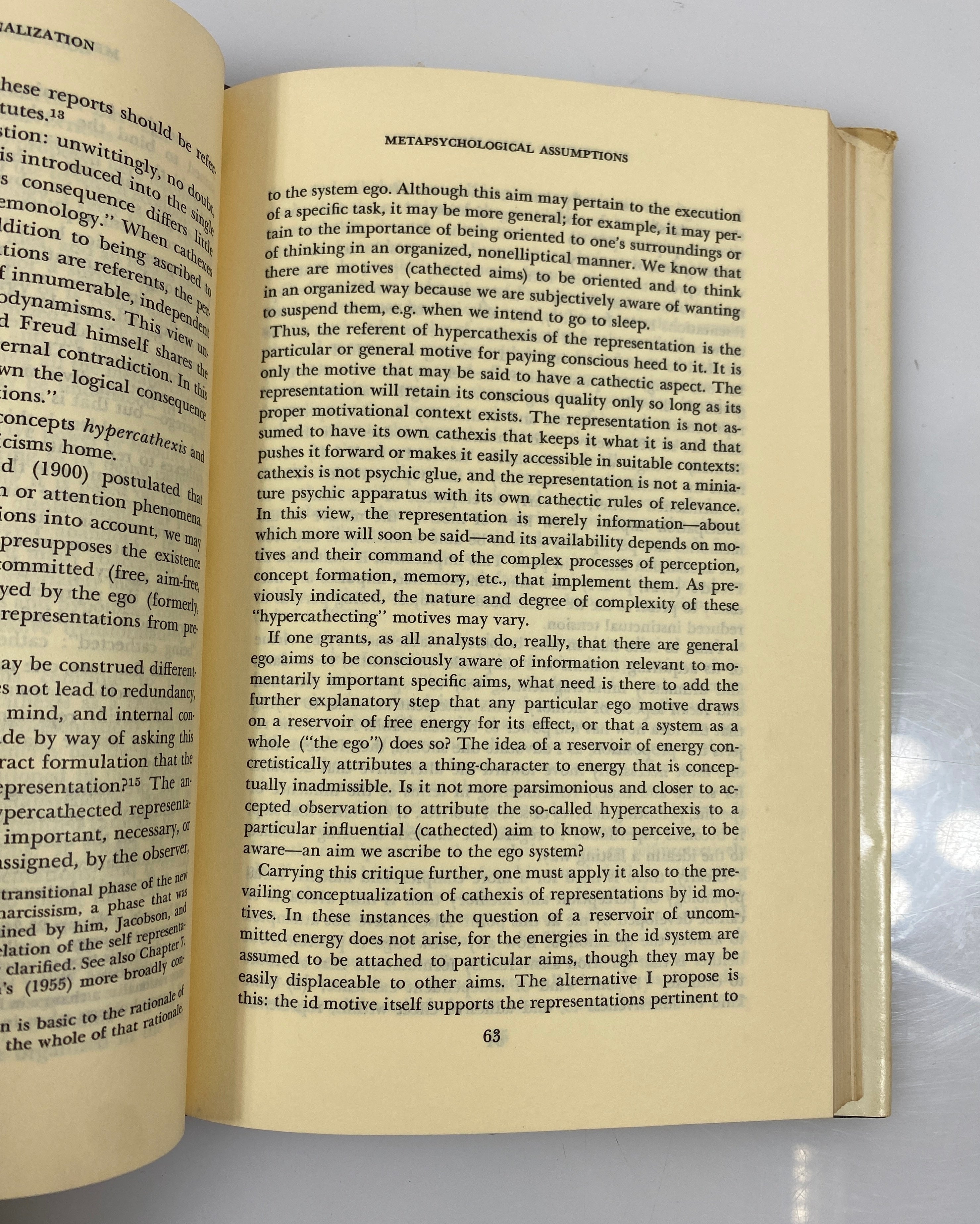 Aspects of Internalization by Roy Schafer 1973 Second Printing HC DJ