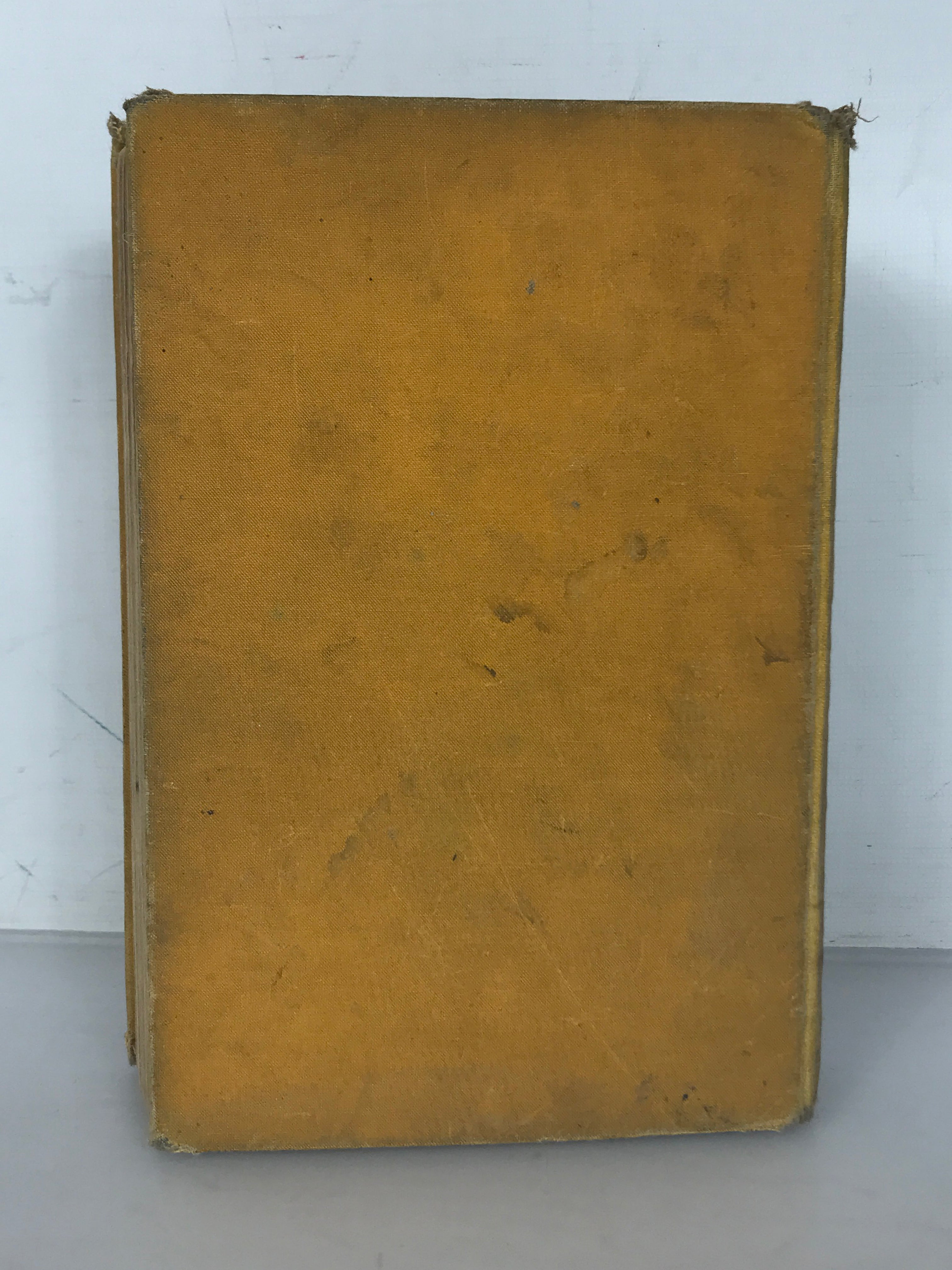 The Yellow Holly by Fergus Hume Antique c1903 Dillingham HC