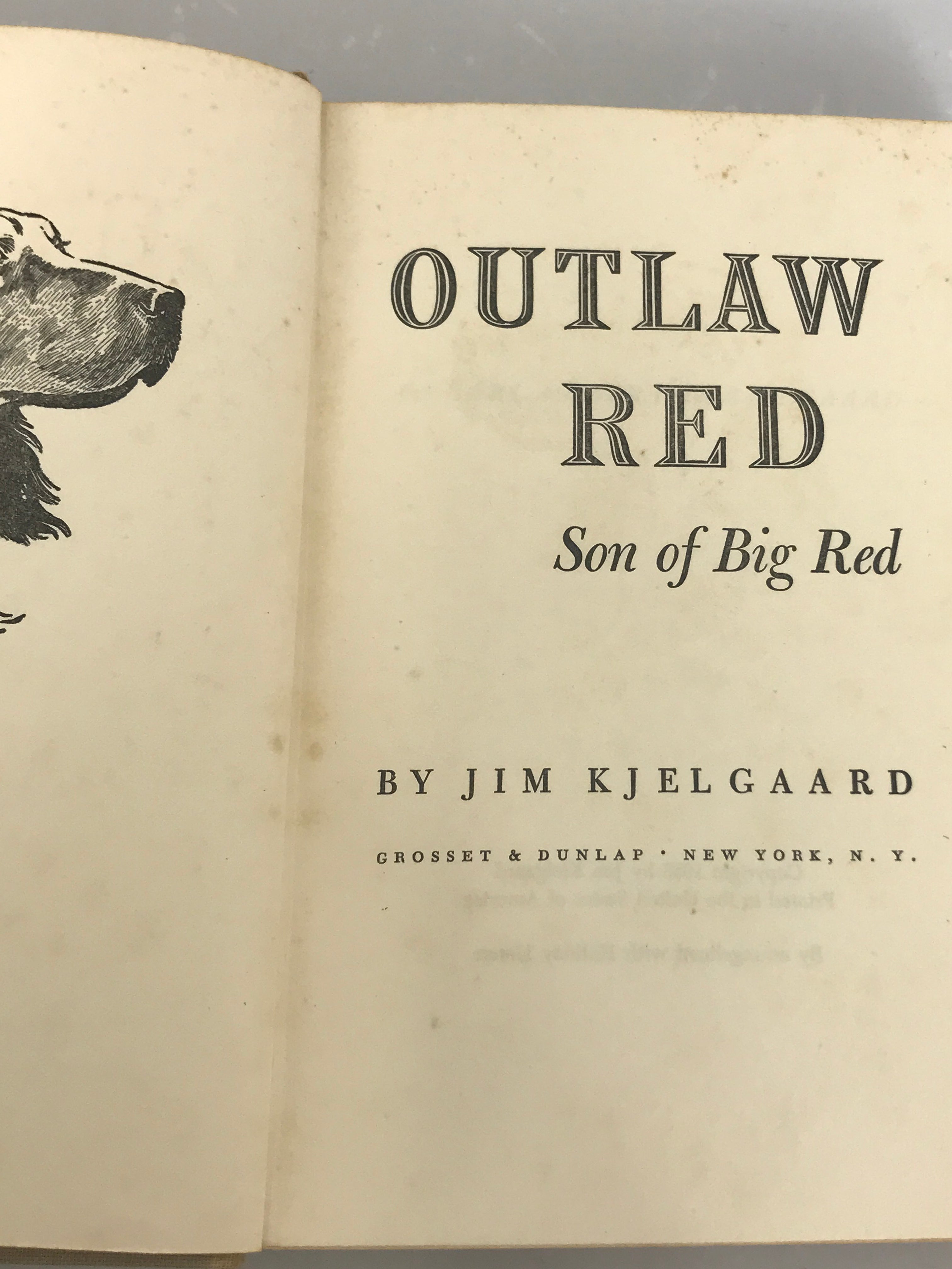 Famous Dog Story: Outlaw Red Son of Big Red by Jim Kjelgaard 1953 Grosset & Dunlap HC Vintage