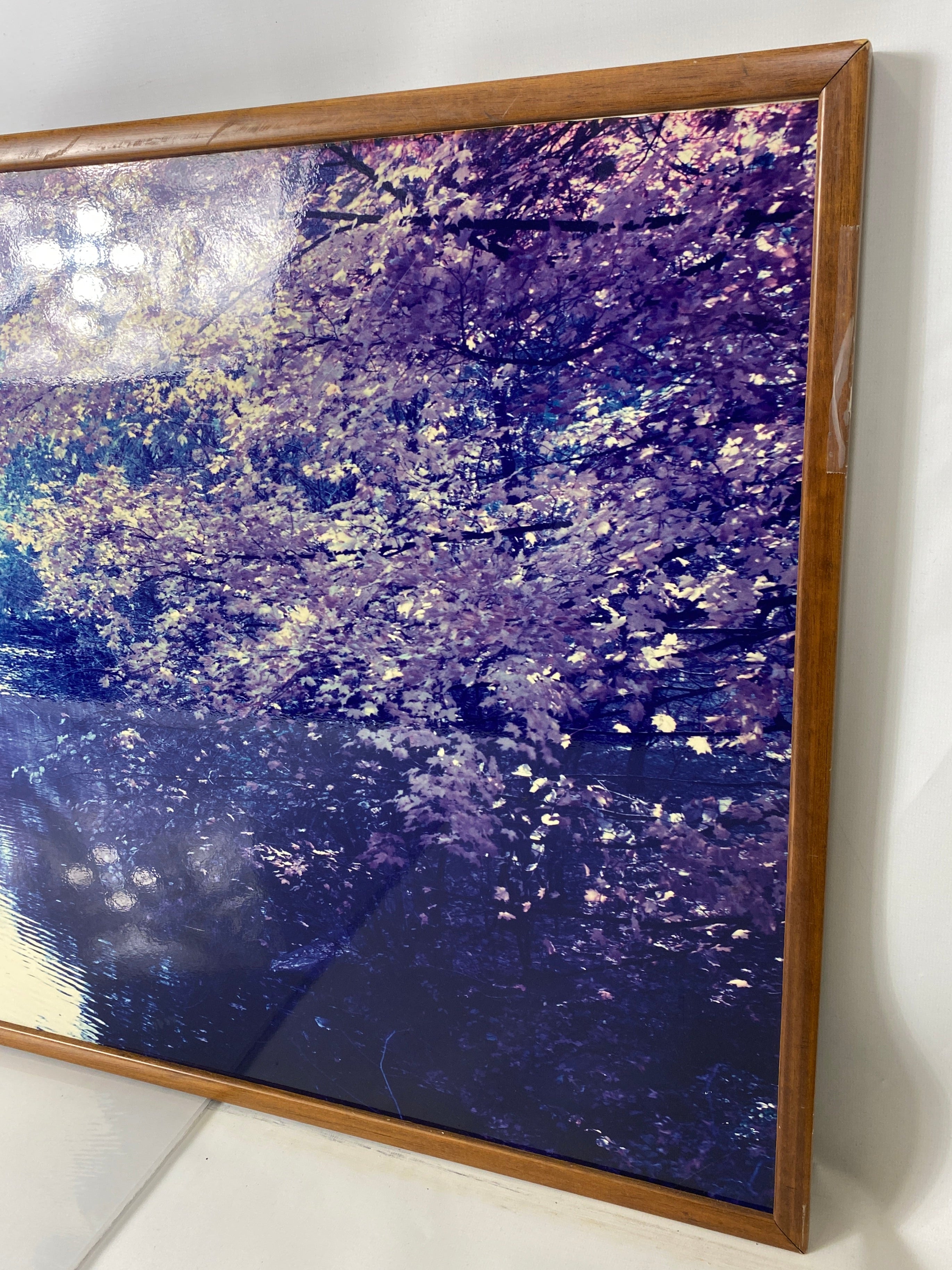 Red Cedar River Picture in Wood Frame