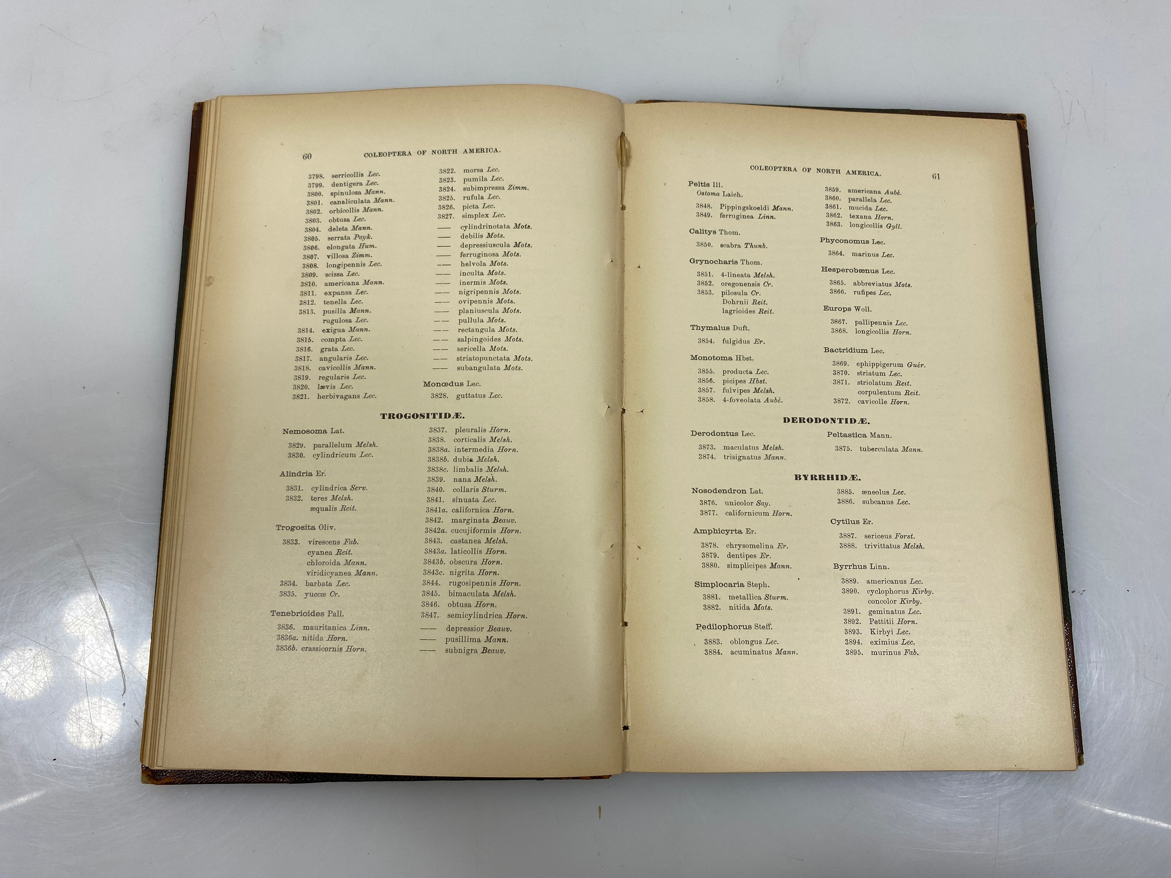 List of the Coleoptera of America North of Mexico by Henshaw Ex-library 1885 HC