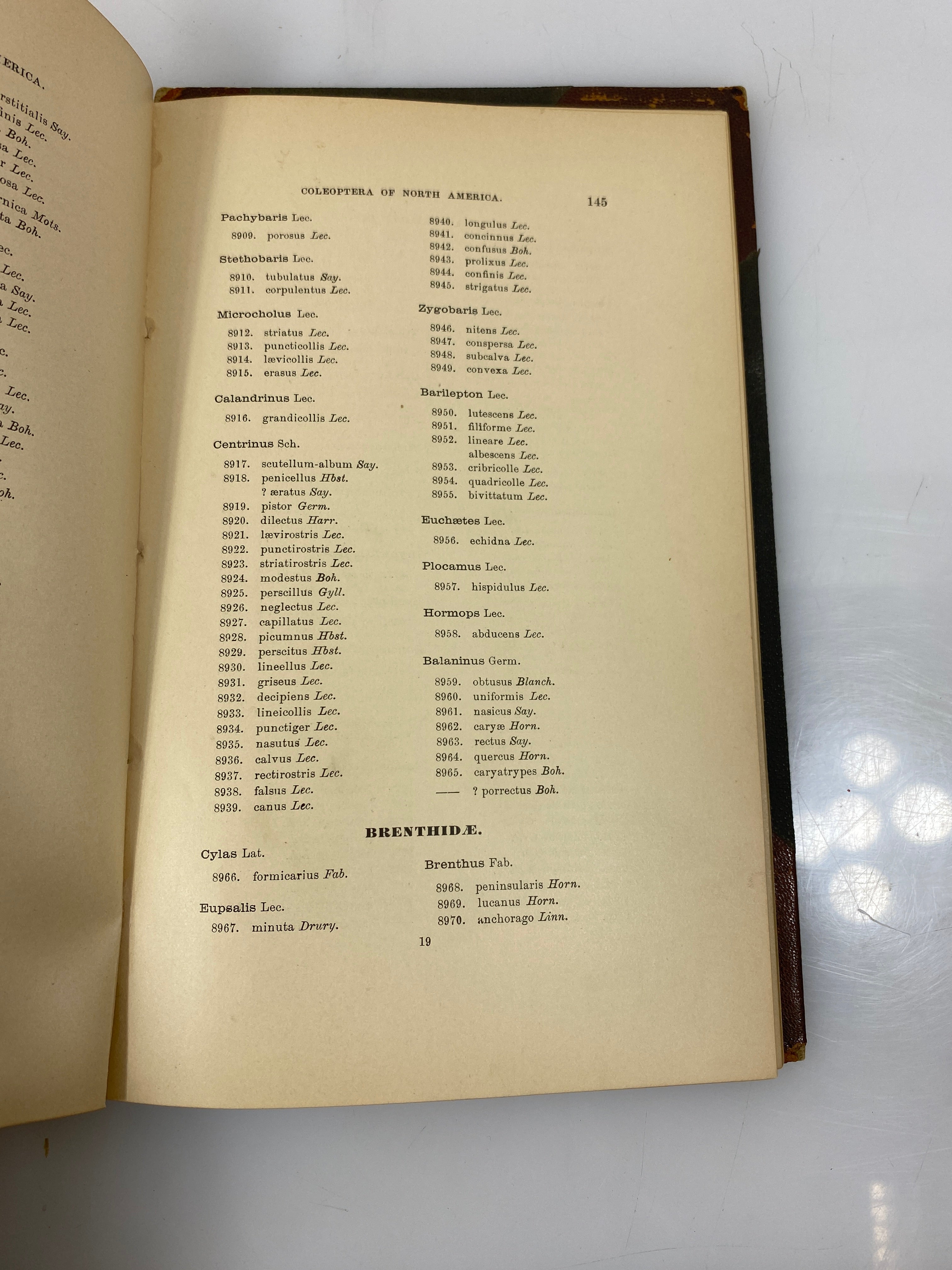 List of the Coleoptera of America North of Mexico by Henshaw Ex-library 1885 HC