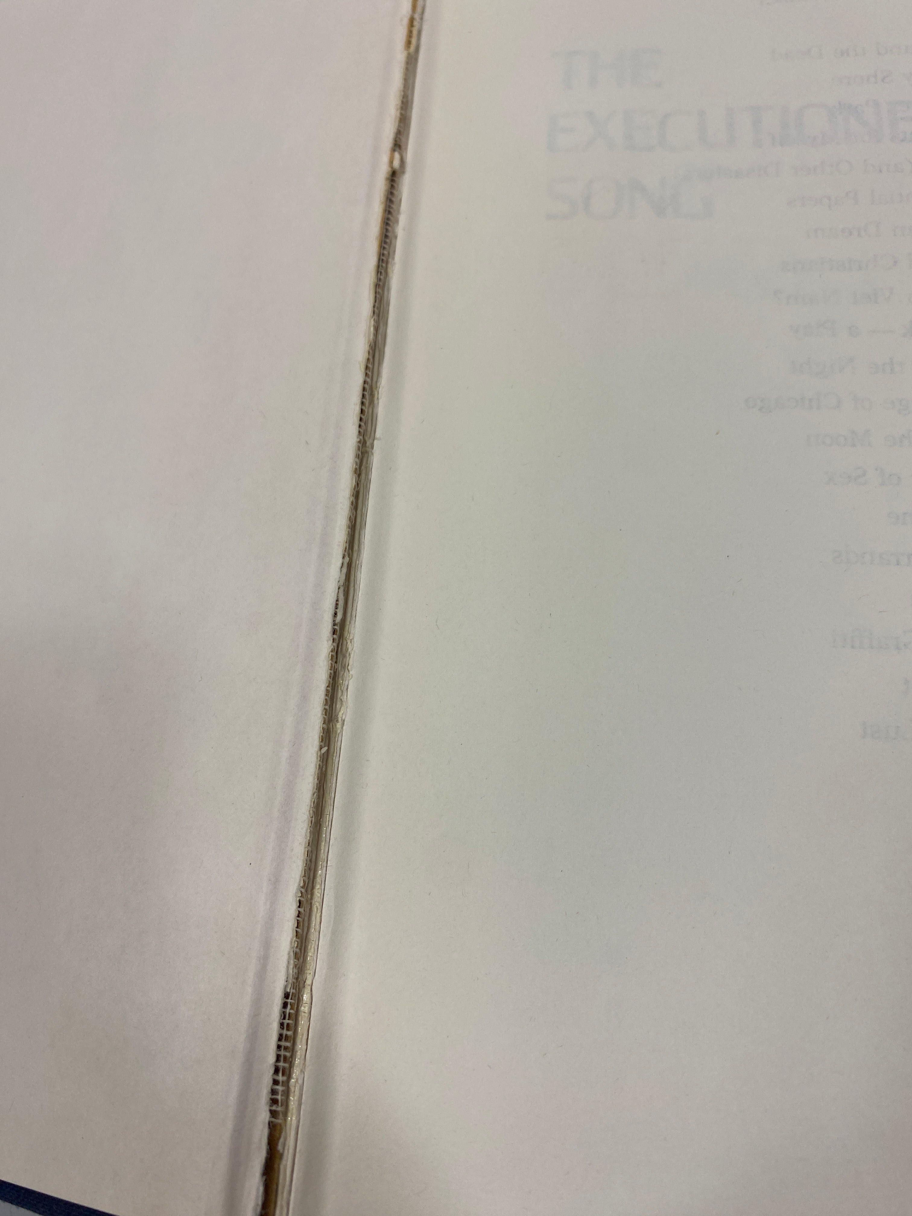 The Executioner's Song by Norman Mailer Ex-library 1979 HC
