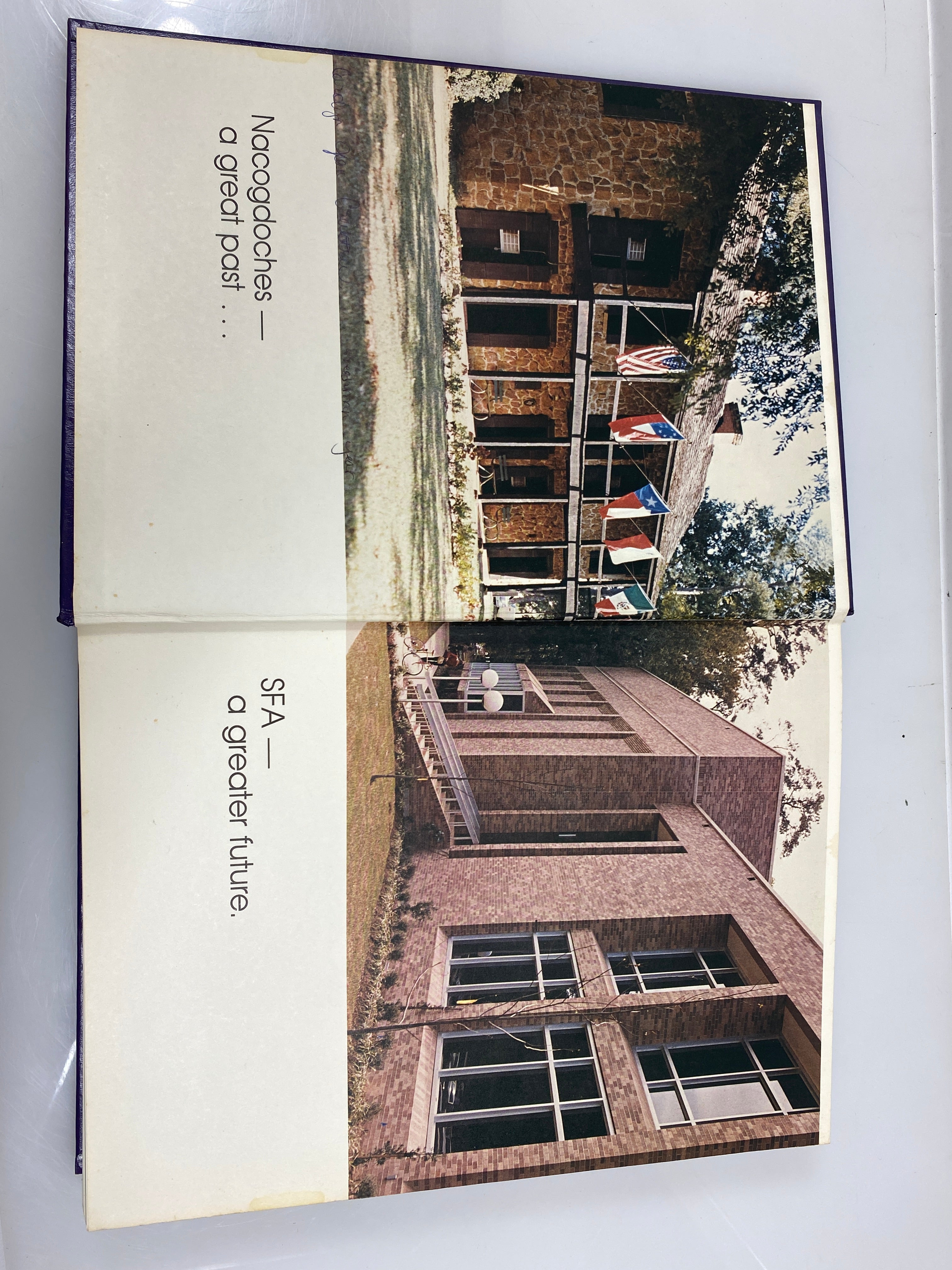1981 Stephen F. Austin State University Yearbook Nacogdoches, Texas HC