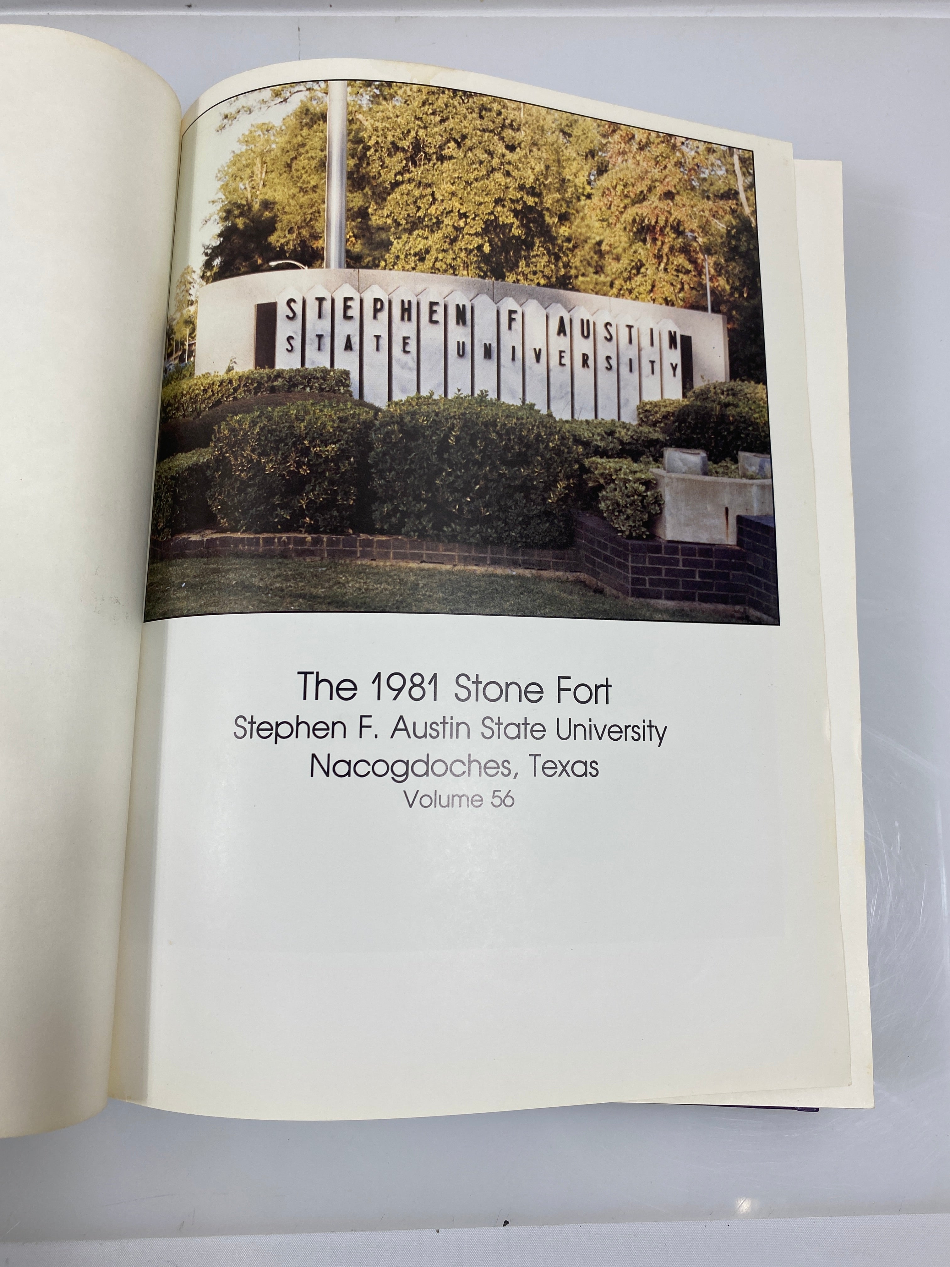1981 Stephen F. Austin State University Yearbook Nacogdoches, Texas HC