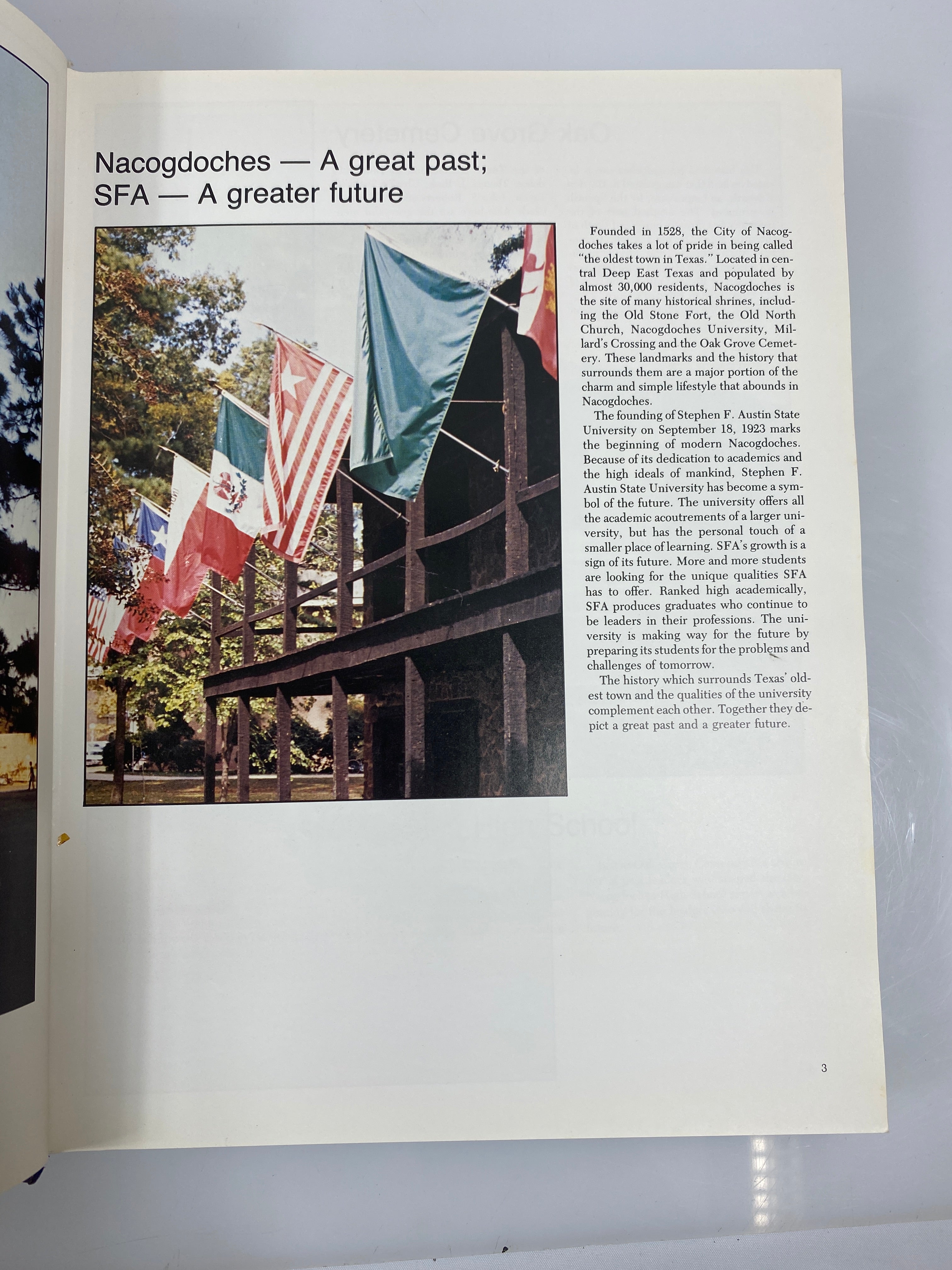 1981 Stephen F. Austin State University Yearbook Nacogdoches, Texas HC