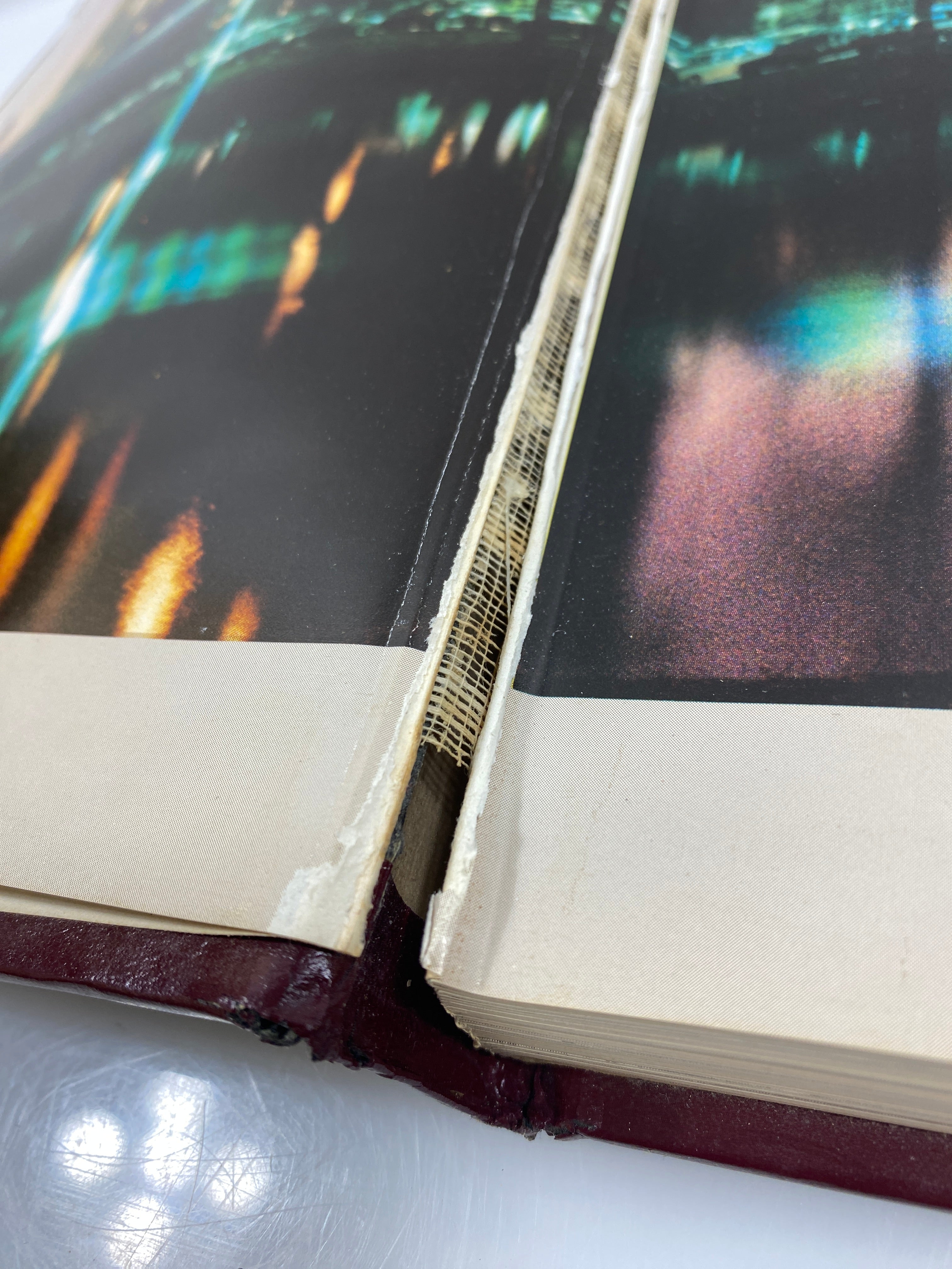 1984 Stephen F. Austin State University Yearbook Nacogdoches, Texas HC