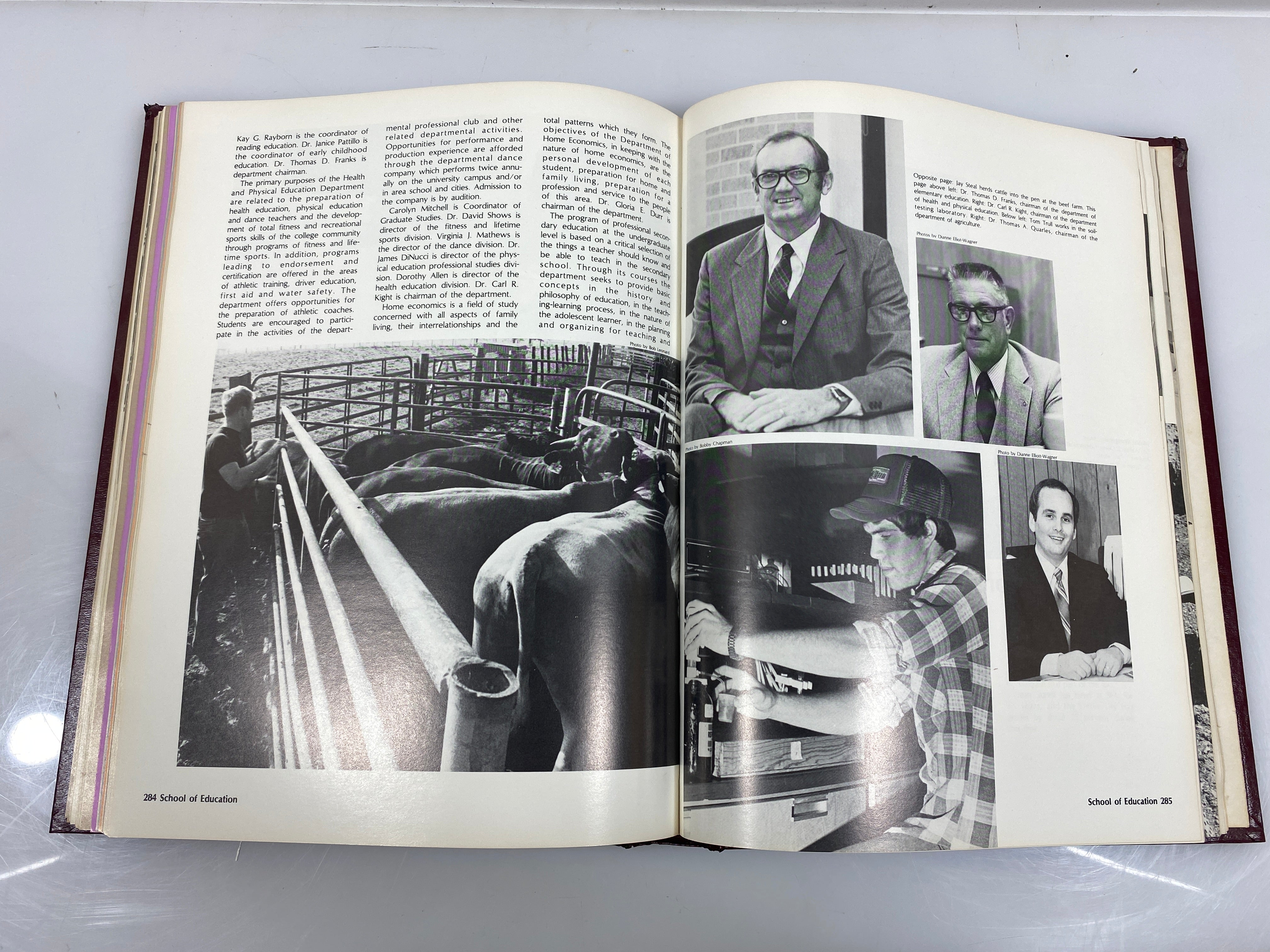 1984 Stephen F. Austin State University Yearbook Nacogdoches, Texas HC