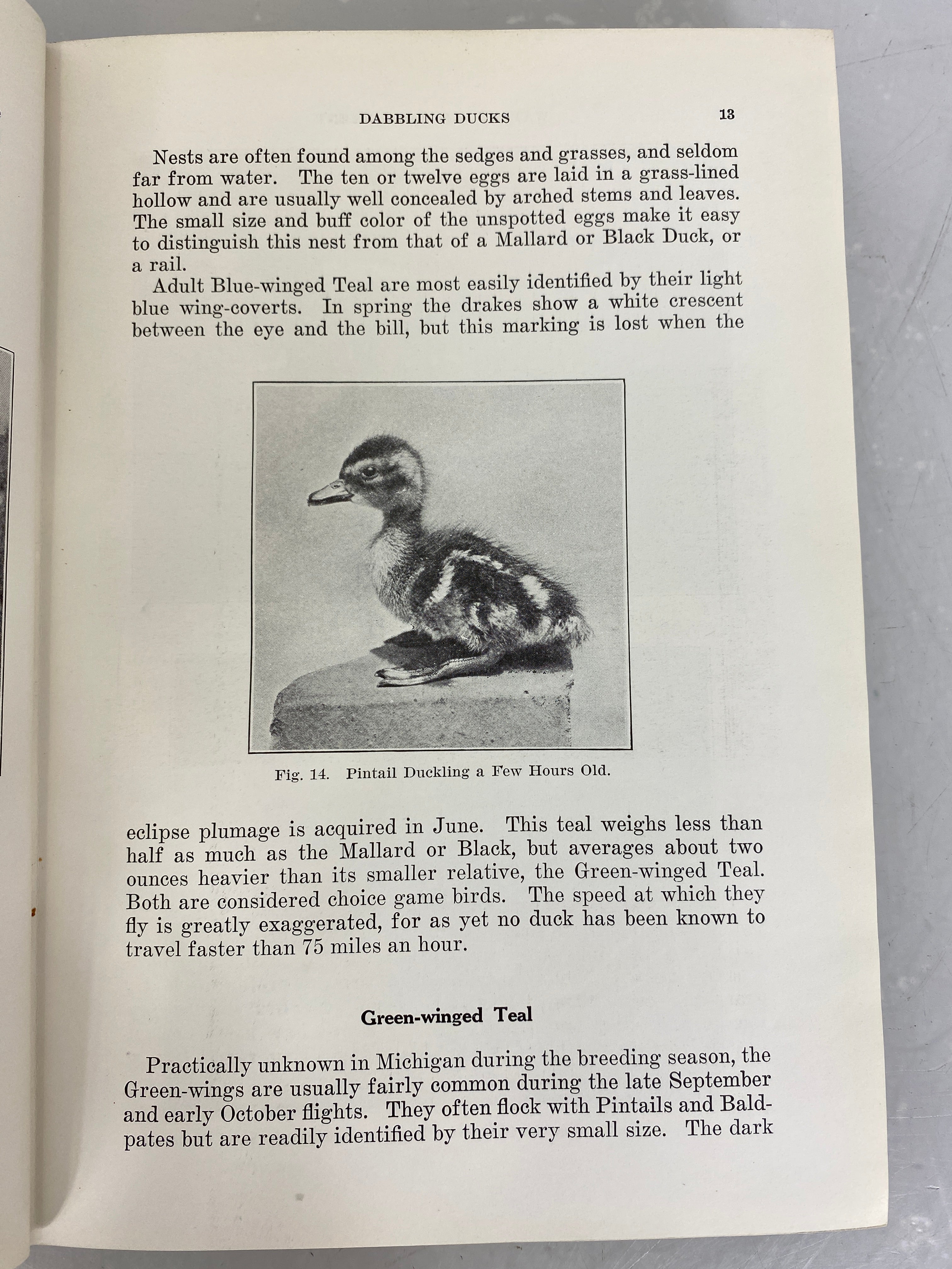 Michigan Waterfowl Management by Miles David Pirnie 1935 HC