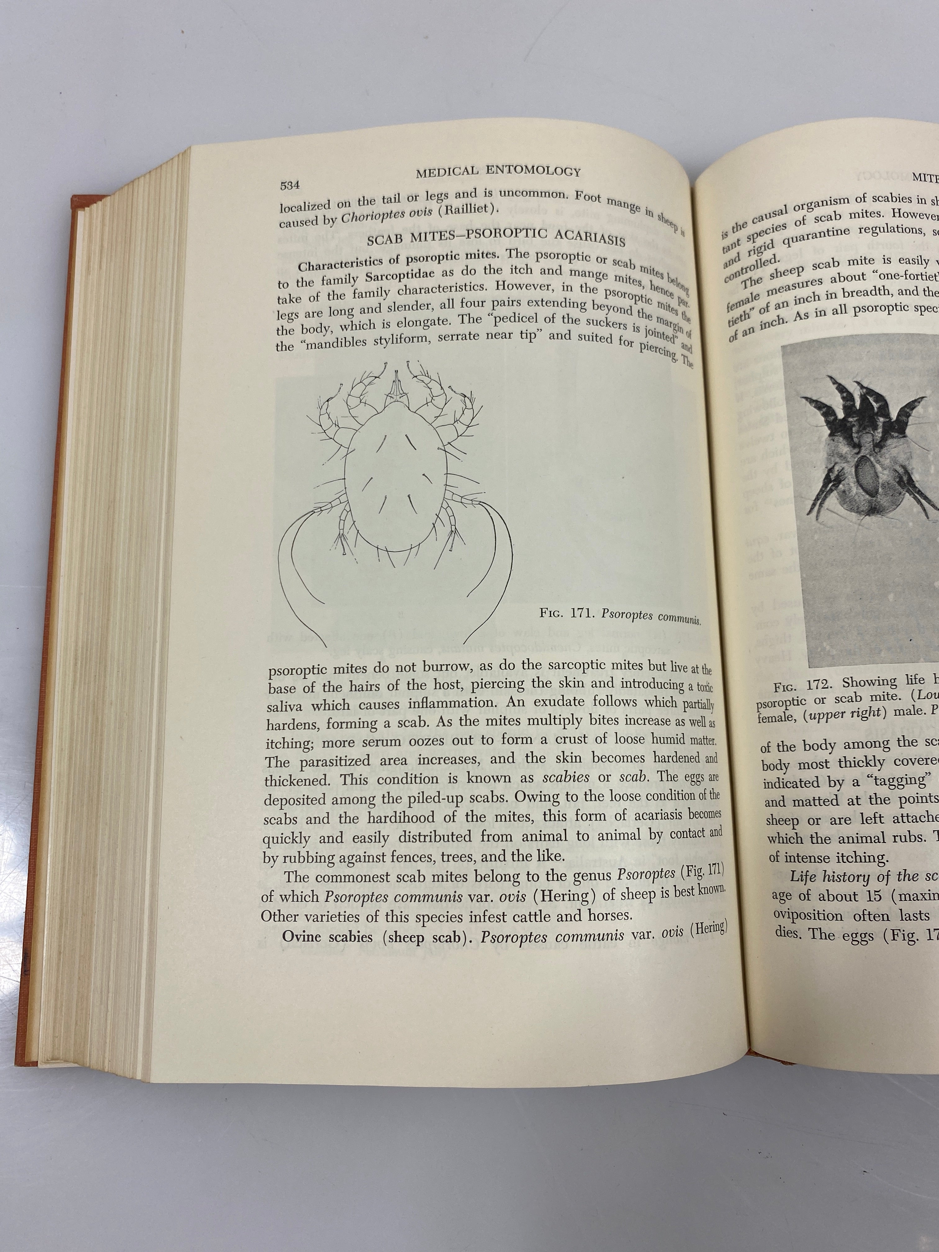 Medical Entomology by William B. Herms 1950 HC