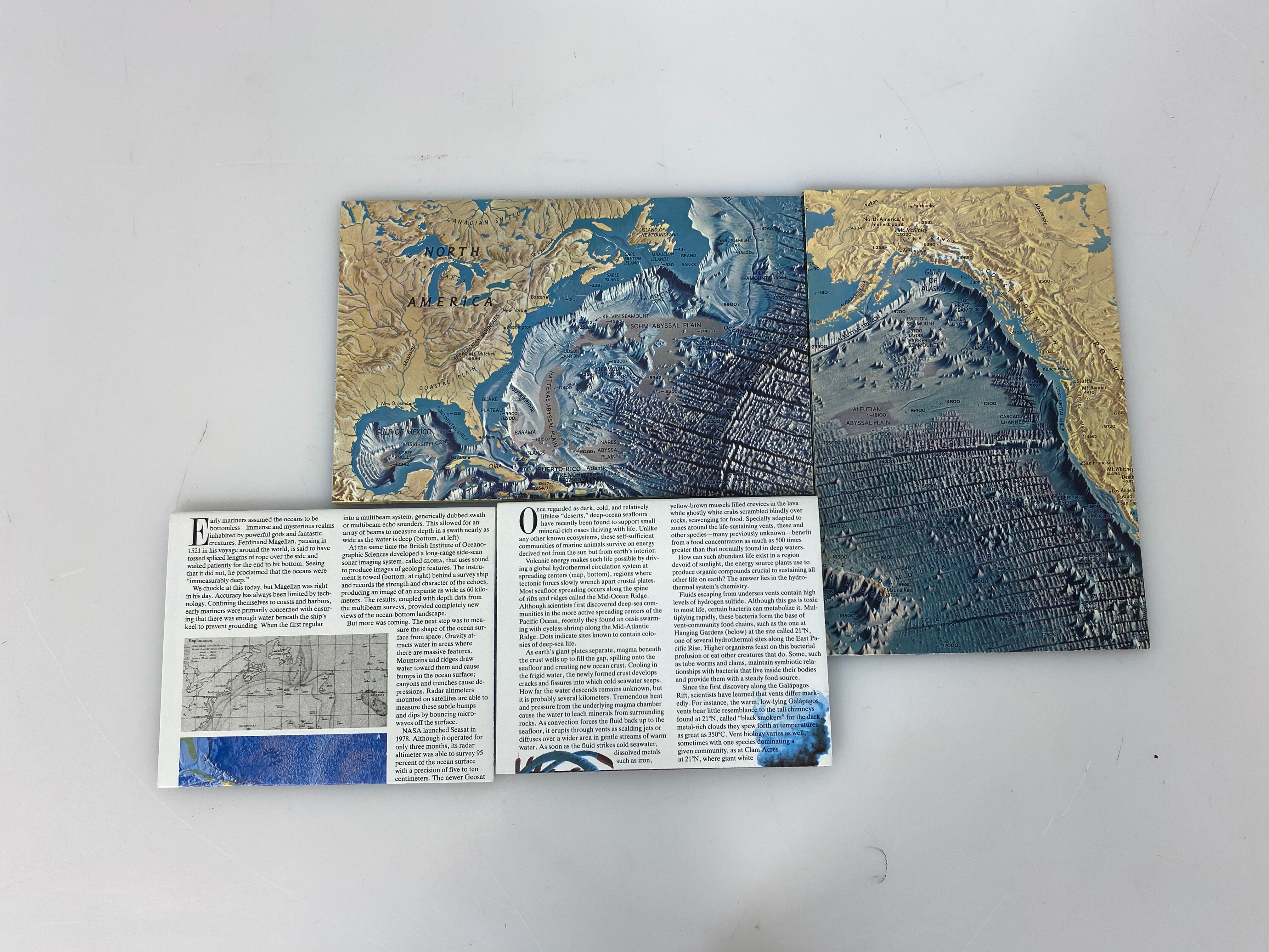 Lot of 4 Nat Geo Ocean Floor Maps/Infographics Atlantic/Pacific/Arctic
