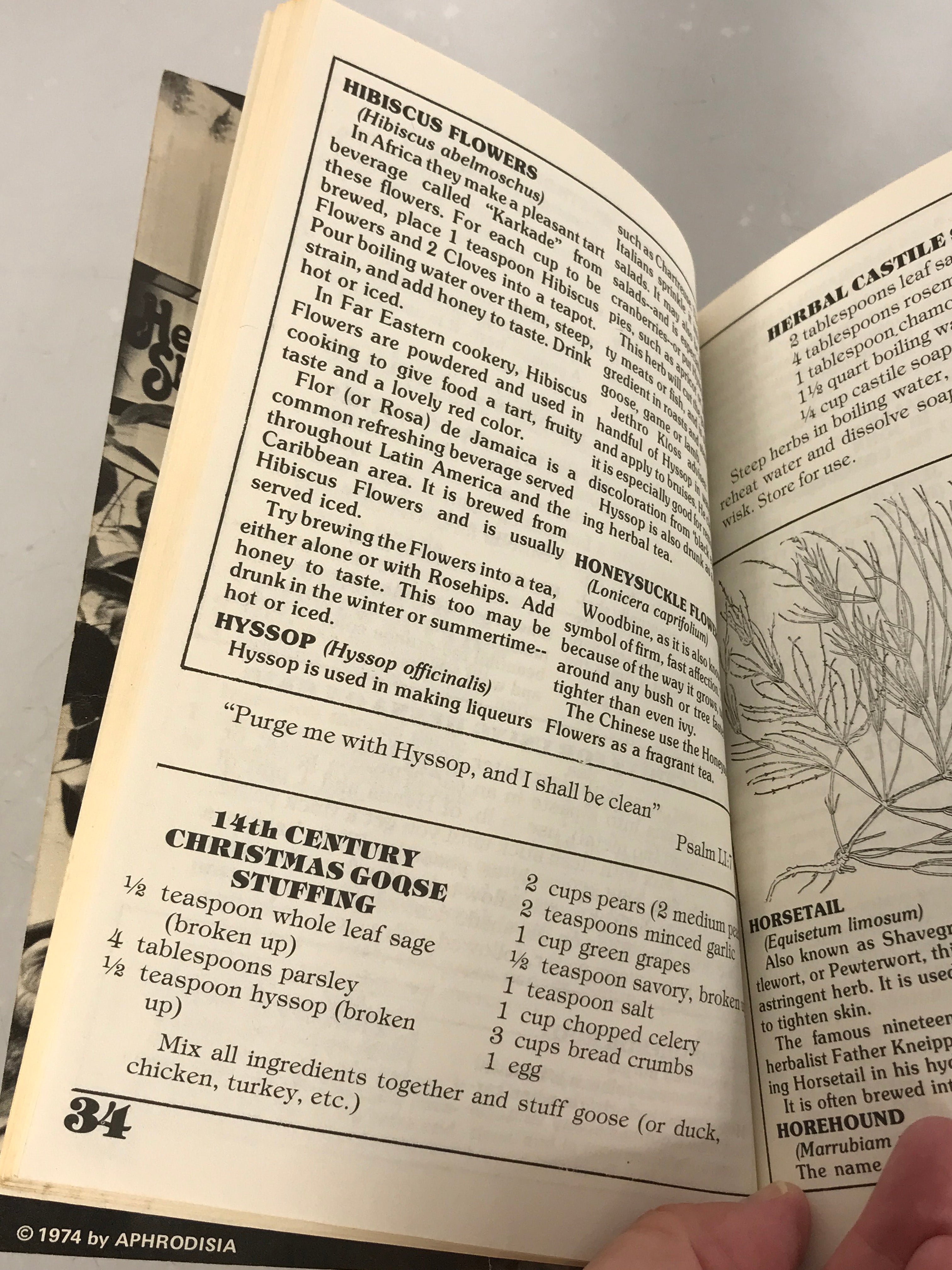Aphrodisia An Experience in Herbs Spices & Essential Oils 1974 SC