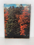 1975 St. Johns High School Yearbook "Seasons in the Sun" St. Johns Michigan HC