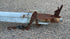 StarCraft Flatbottom Boat w/ Trailer