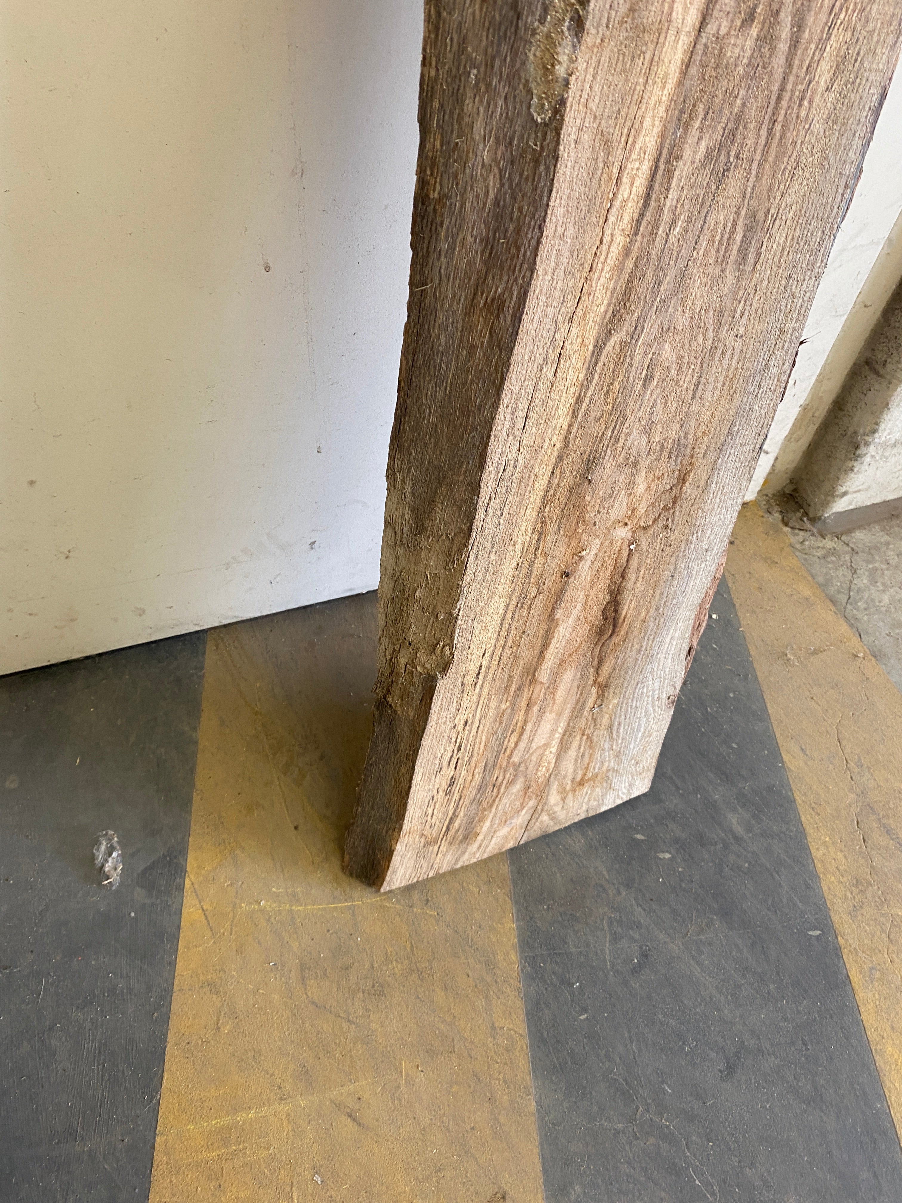 MSU Shadows Live Edge Unknown Species Slab Wood #11