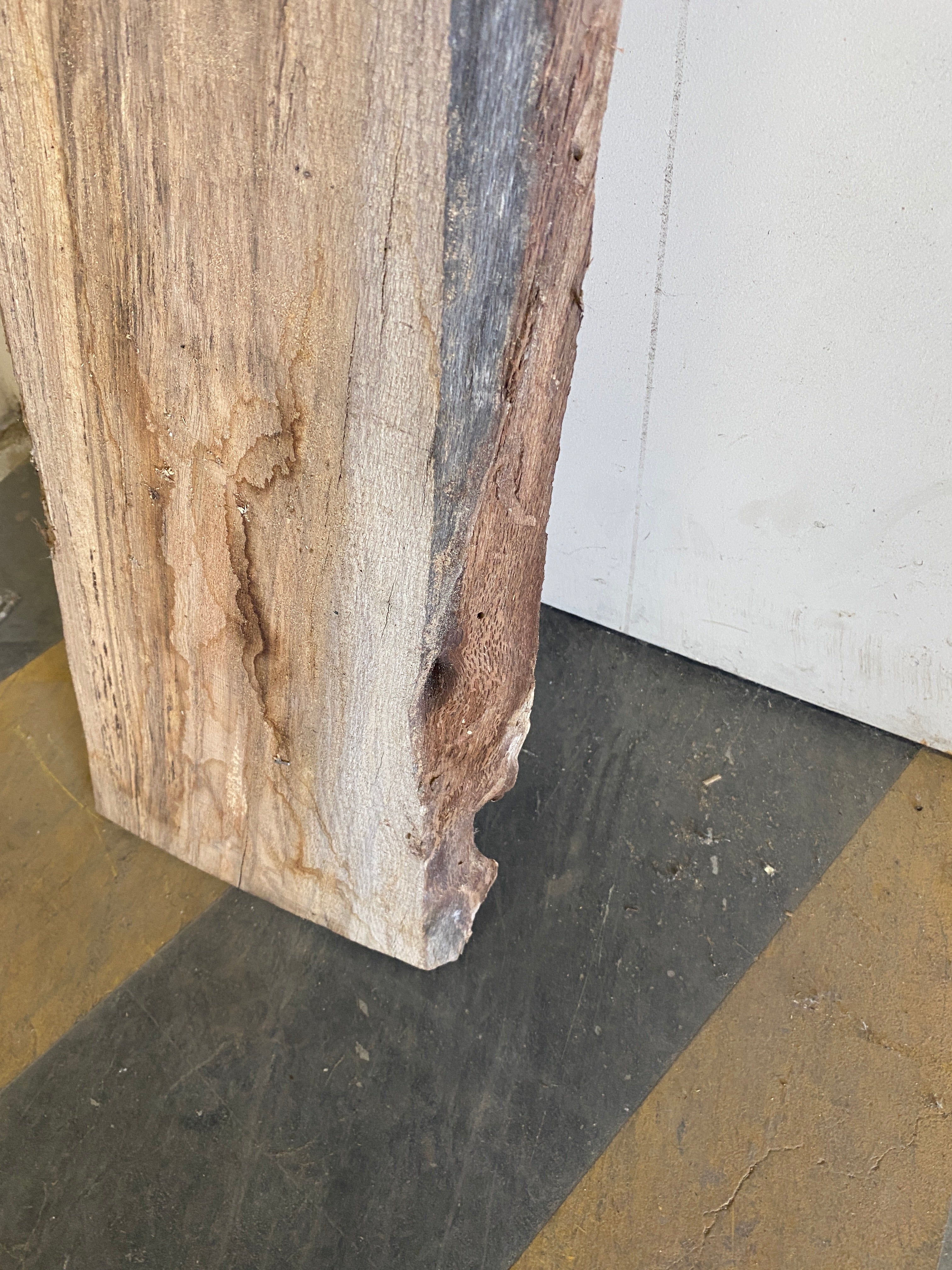 MSU Shadows Live Edge Unknown Species Slab Wood #11