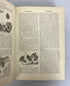 3 Antique Volumes: Hill's Practical Reference Library 1903 (I/II/IV) HC