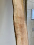 MSU Shadows Flat Board Unknown Species Slab Wood #17