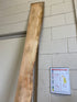 MSU Shadows Flat Board Unknown Species Slab Wood #12