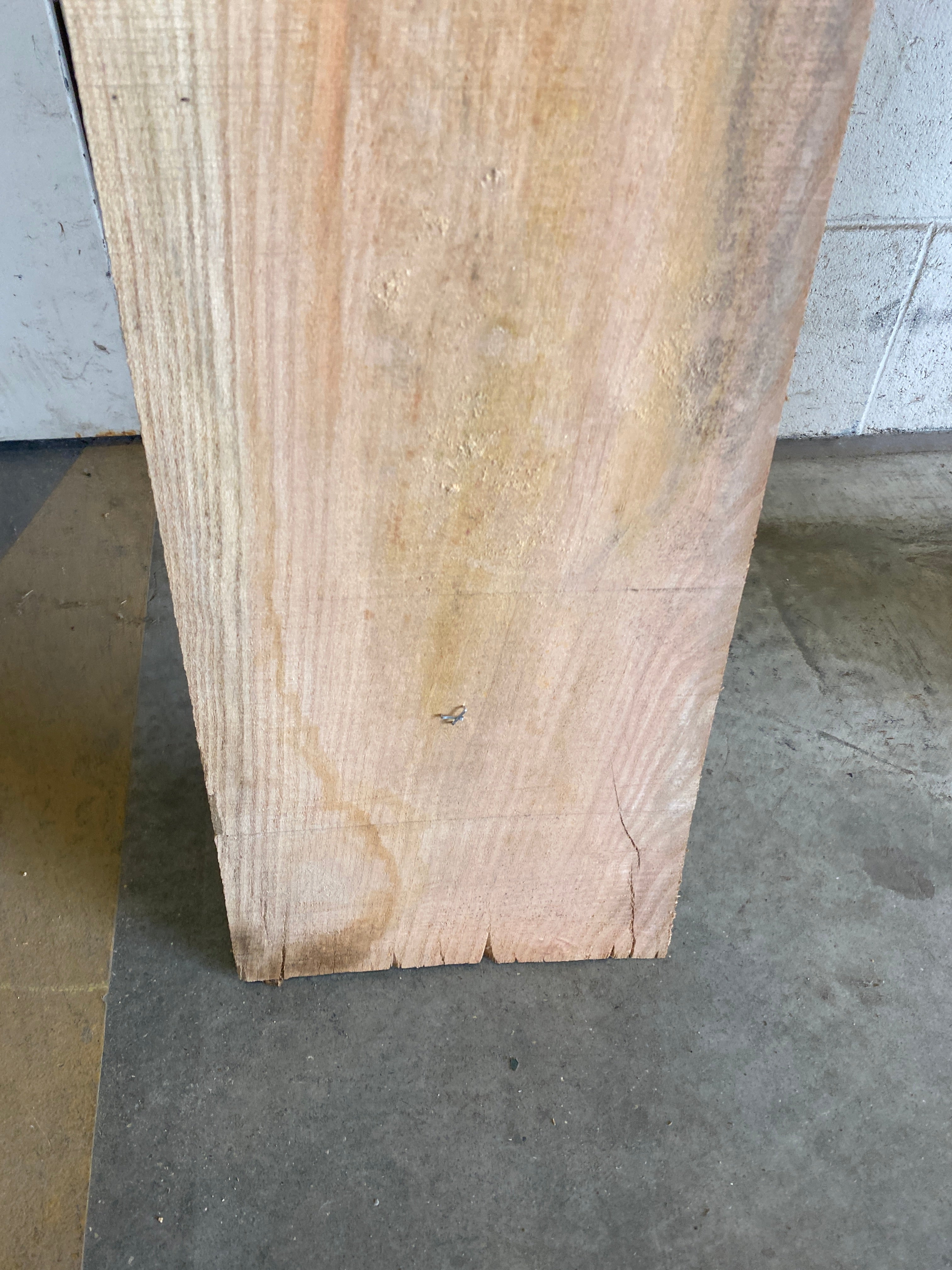 MSU Shadows Flat Board Unknown Species Slab Wood #12