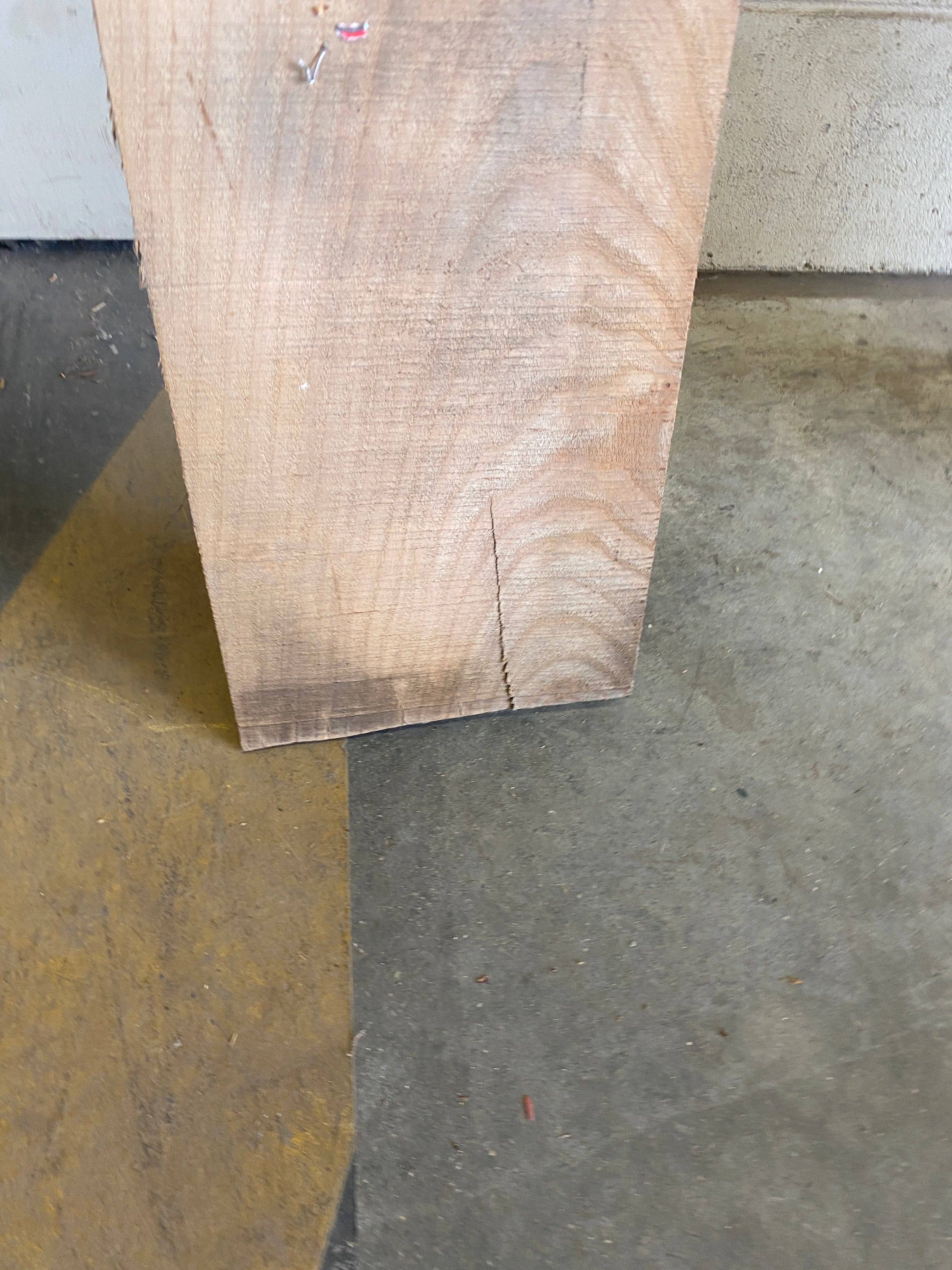 MSU Shadows Flat Board Unknown Species Slab Wood #24