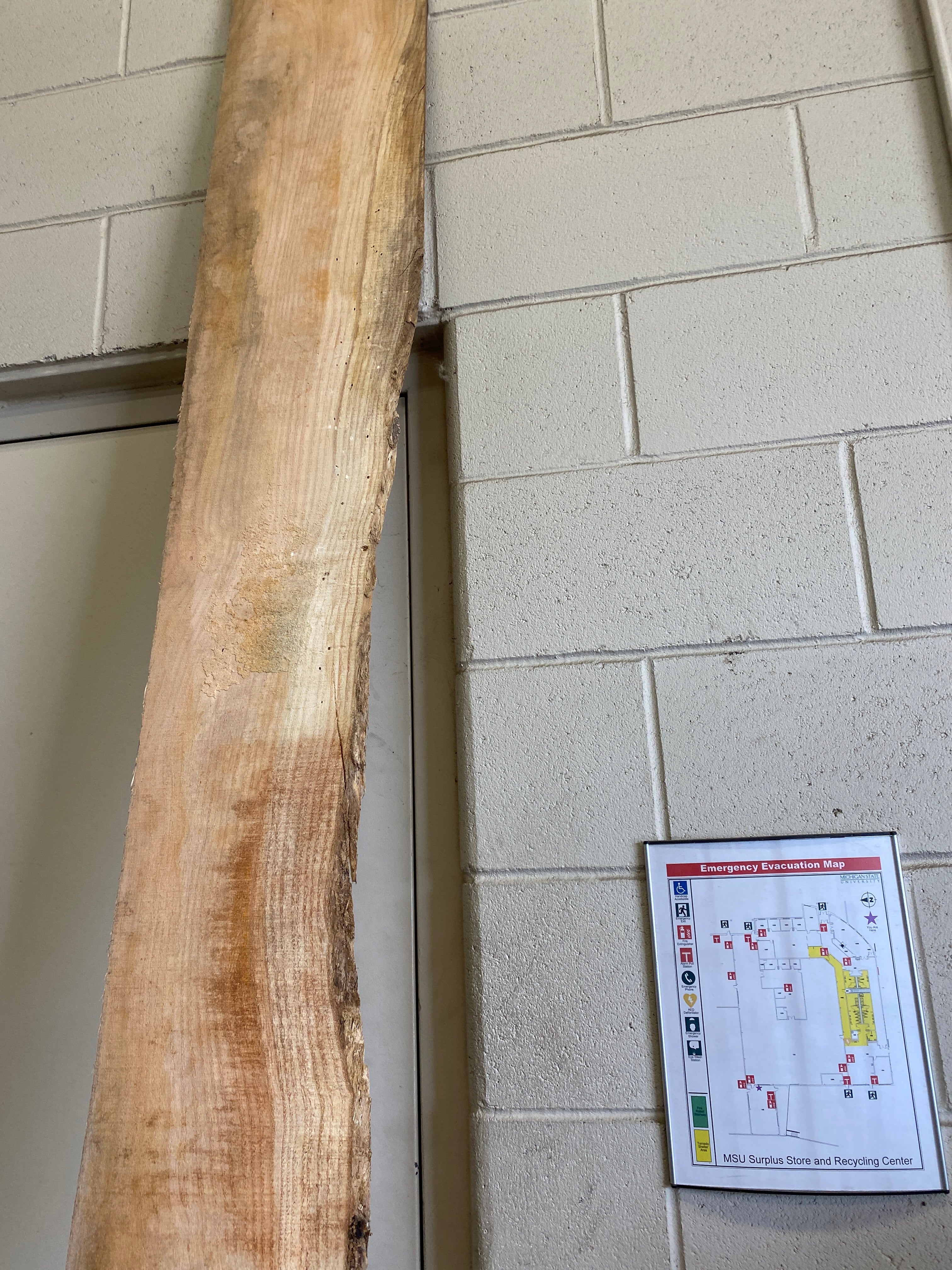 MSU Shadows Flat Board Unknown Species Slab Wood #31