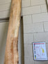 MSU Shadows Flat Board Unknown Species Slab Wood #31