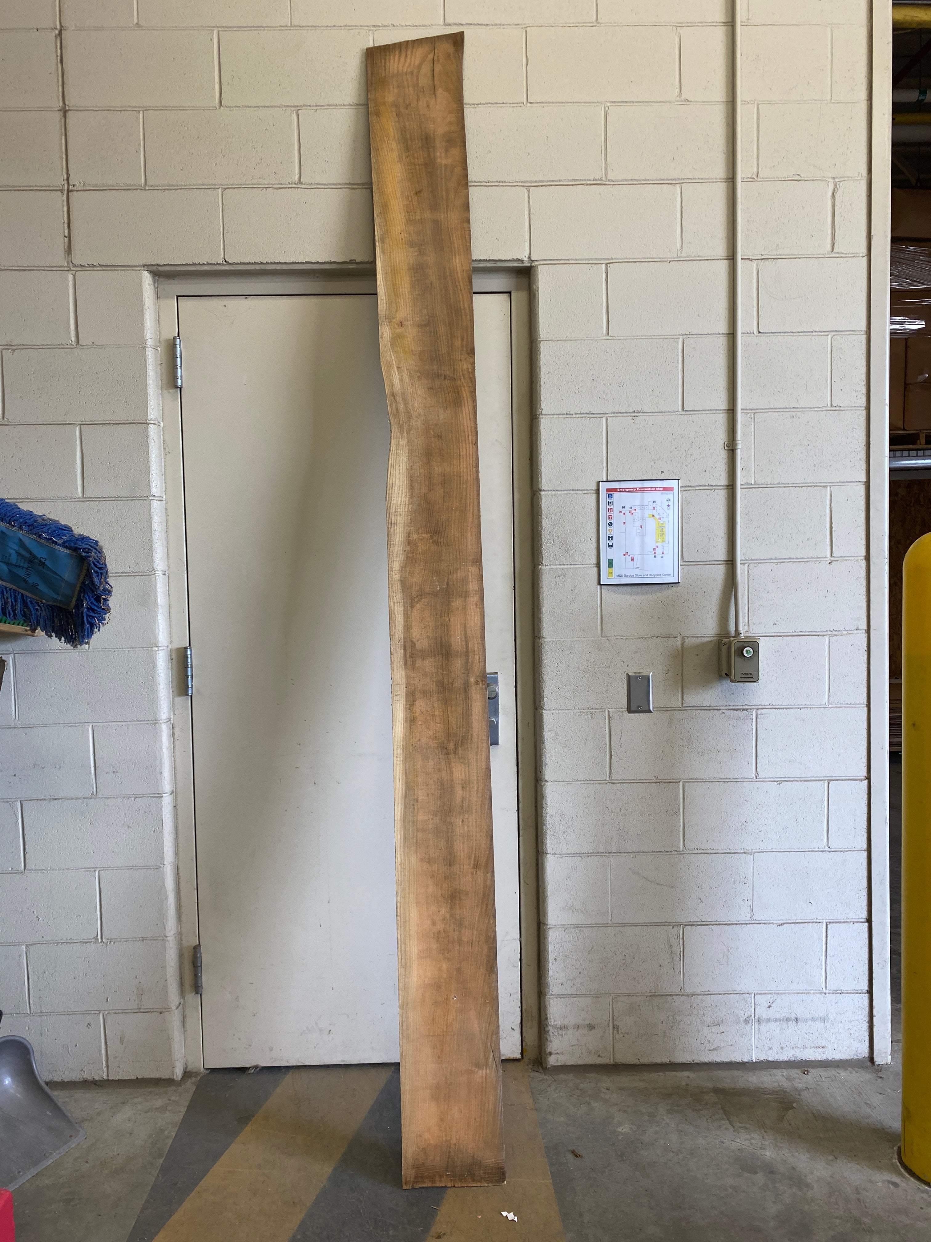 MSU Shadows Flat Board Unknown Species Slab Wood #33