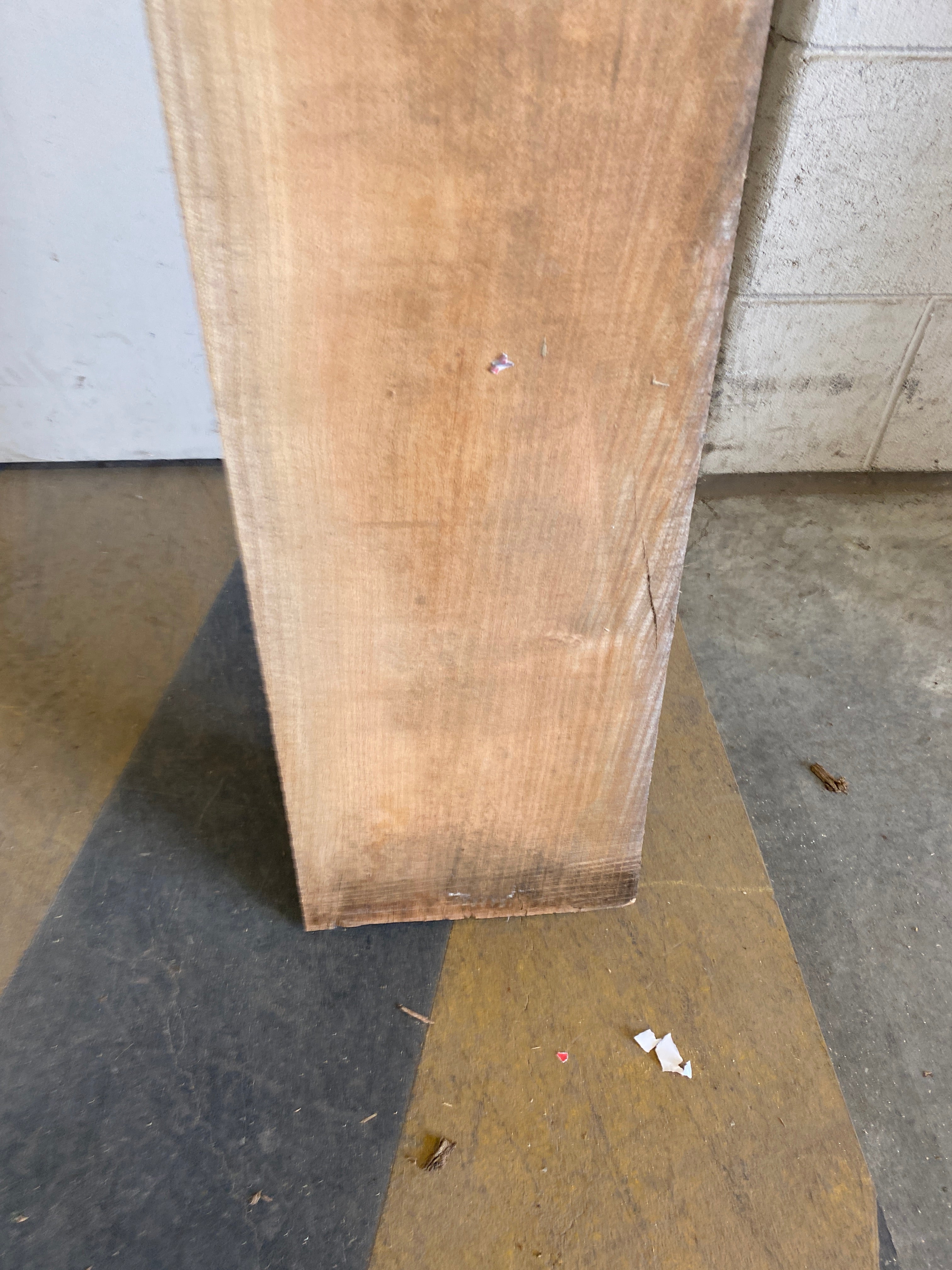 MSU Shadows Flat Board Unknown Species Slab Wood #33