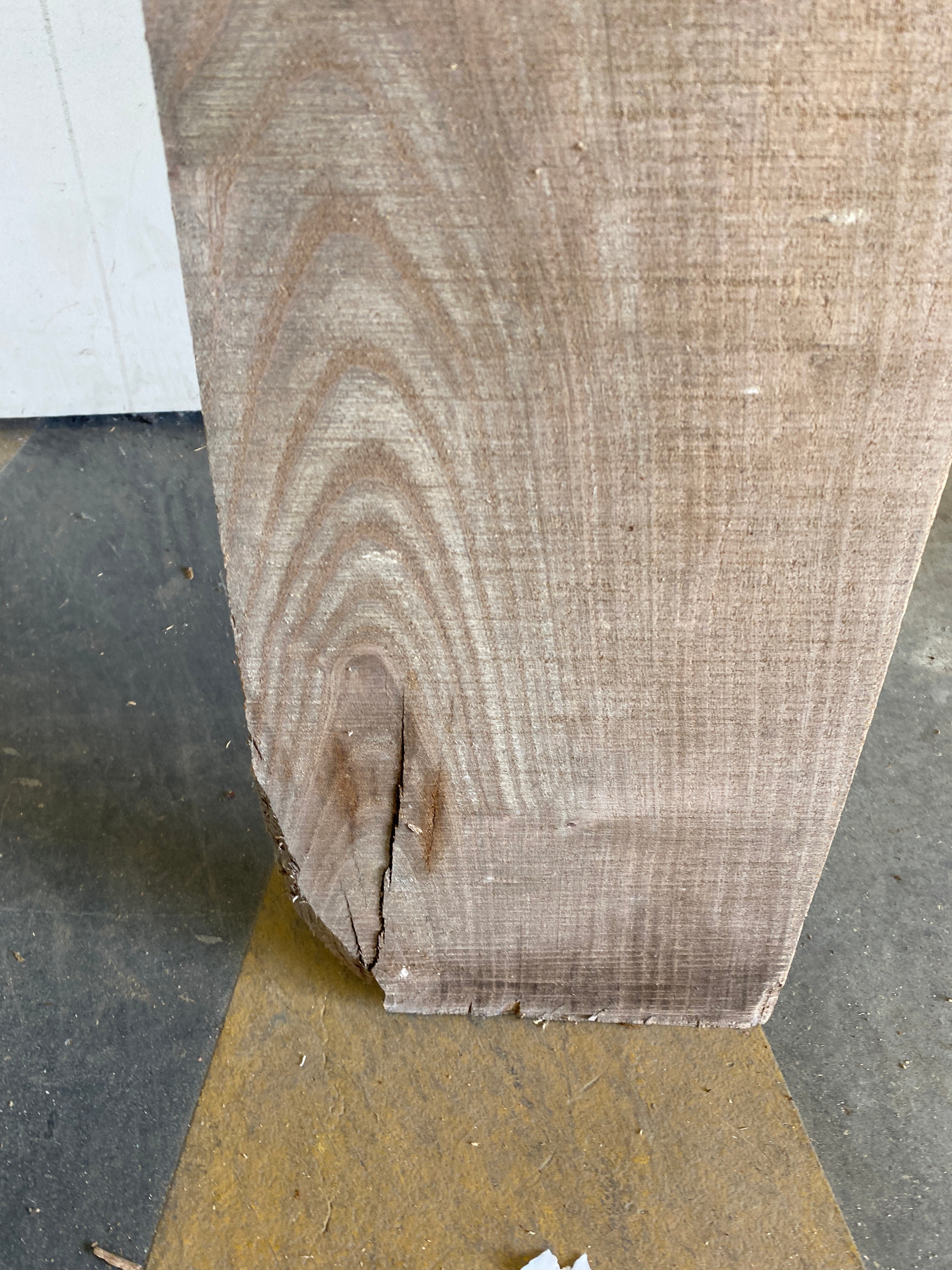 MSU Shadows Flat Board Unknown Species Slab Wood #35